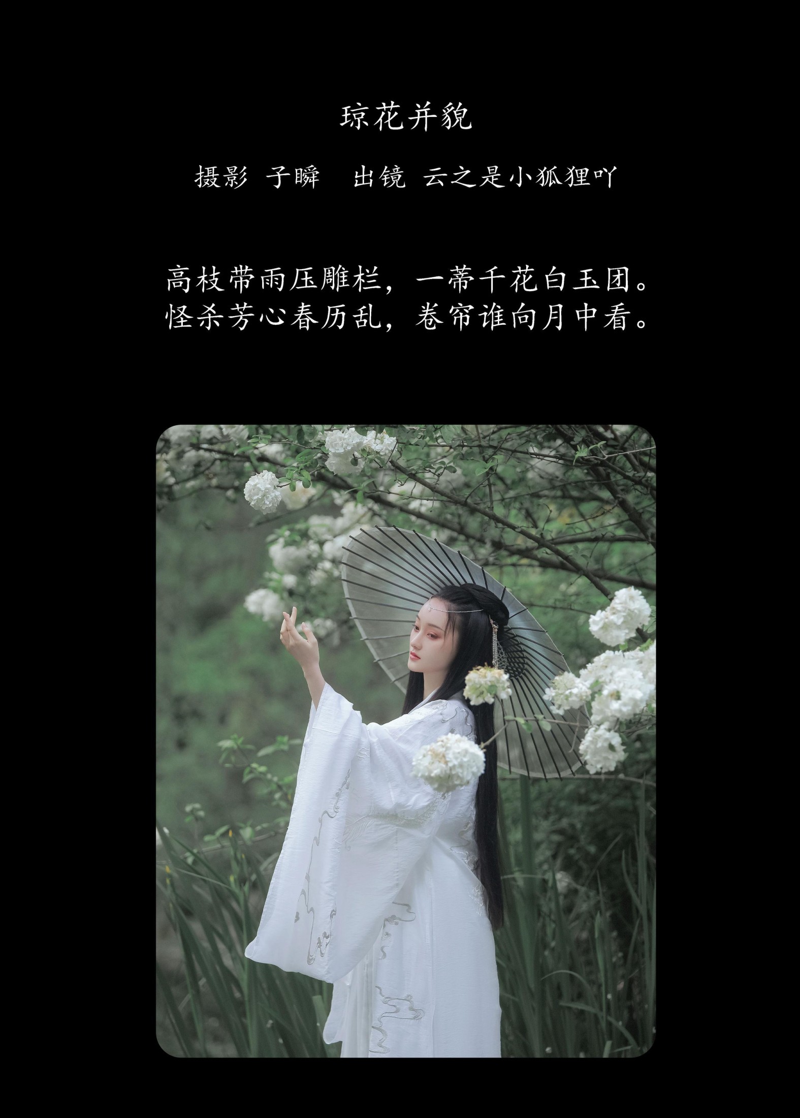 云之是小狐狸吖 – 《琼花并貌》[22P]
