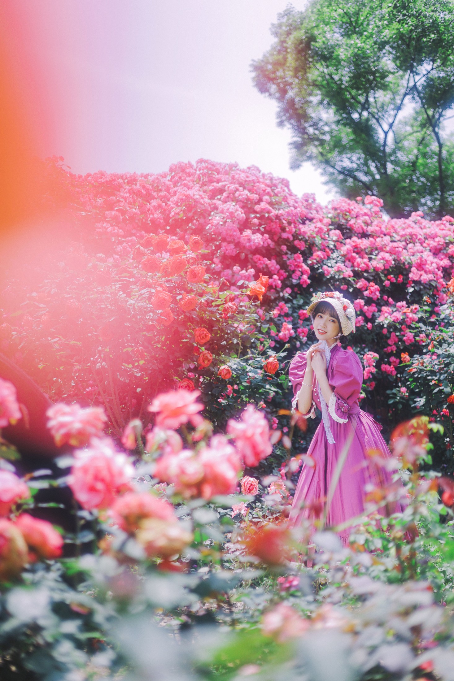 一只阿梦崽 – 《少女的裙摆》[42P]