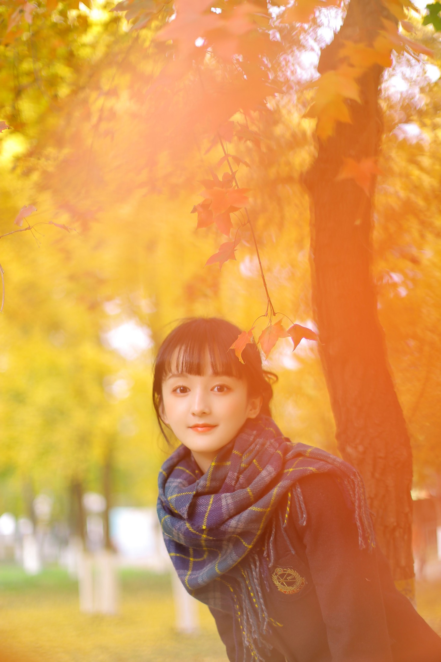 脆可柿 – 《秋の调色盘》[29P]