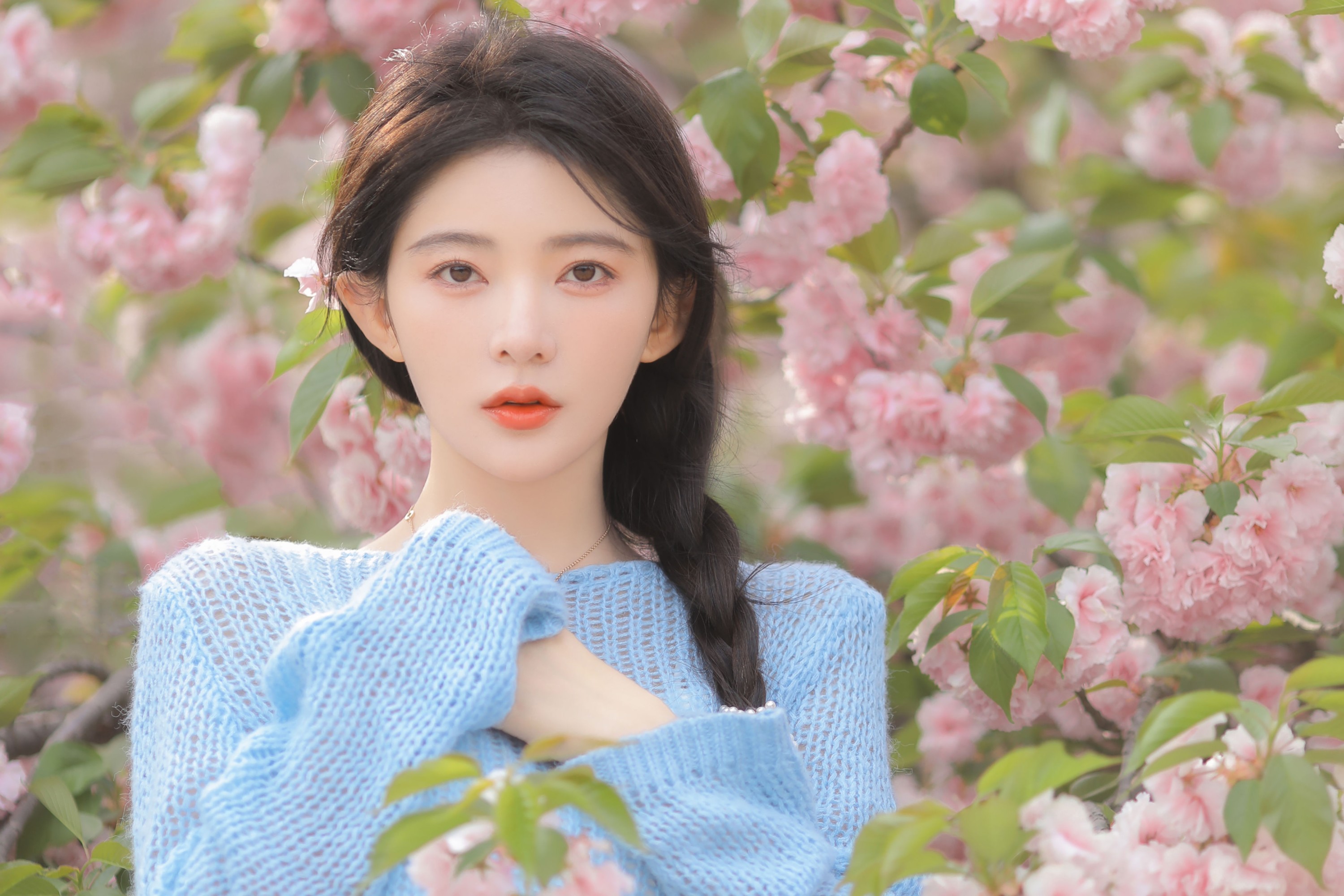 杨伊墨 – 《粉蓝晚樱》[29P]