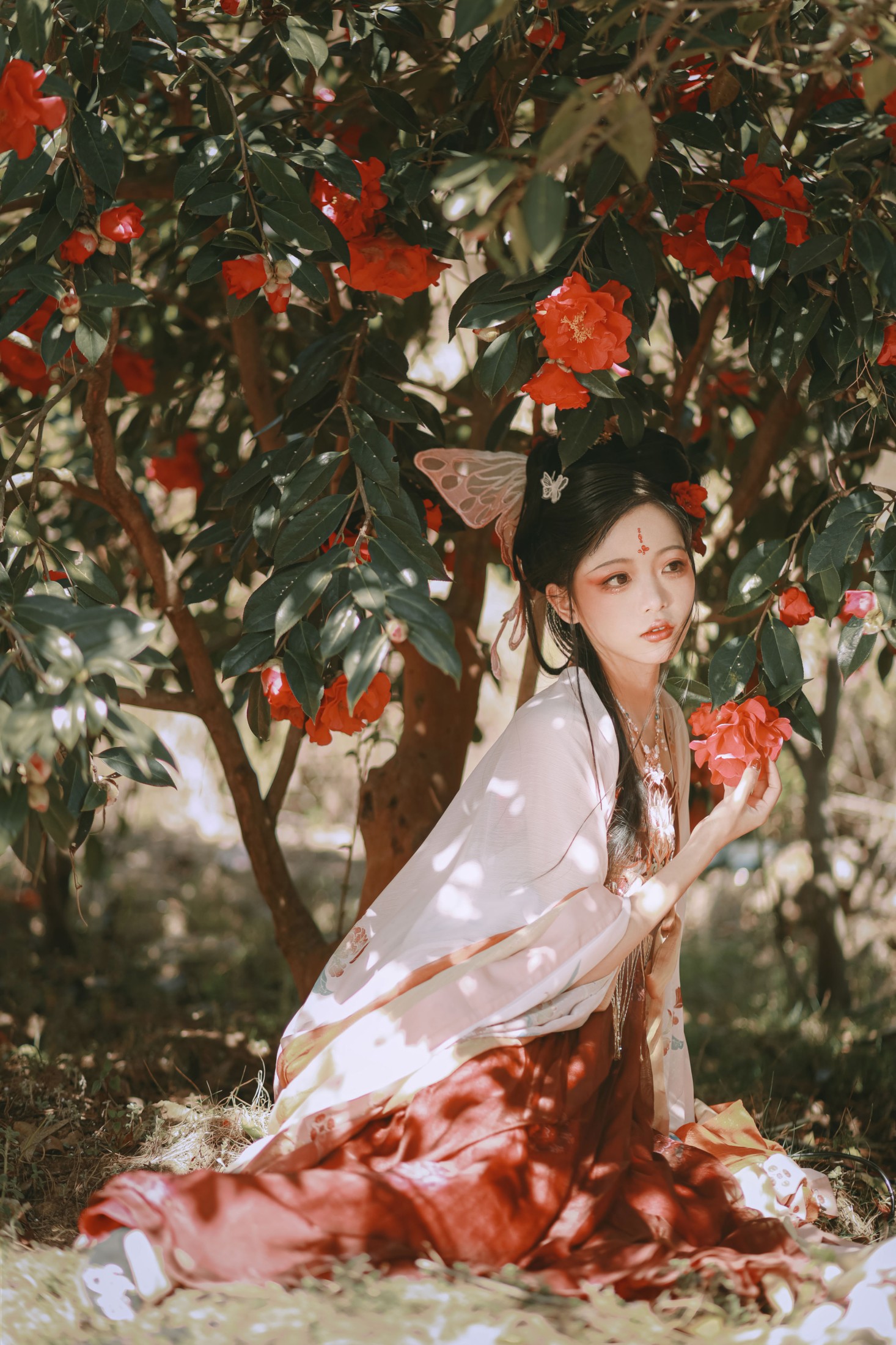芍药_Y – 《山茶花神》[42P]