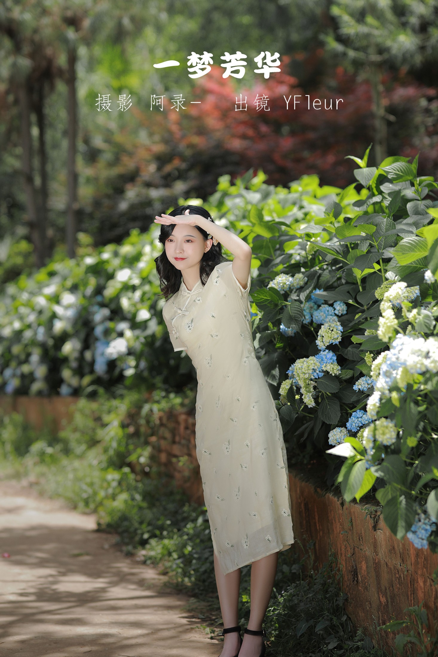 一梦芳华