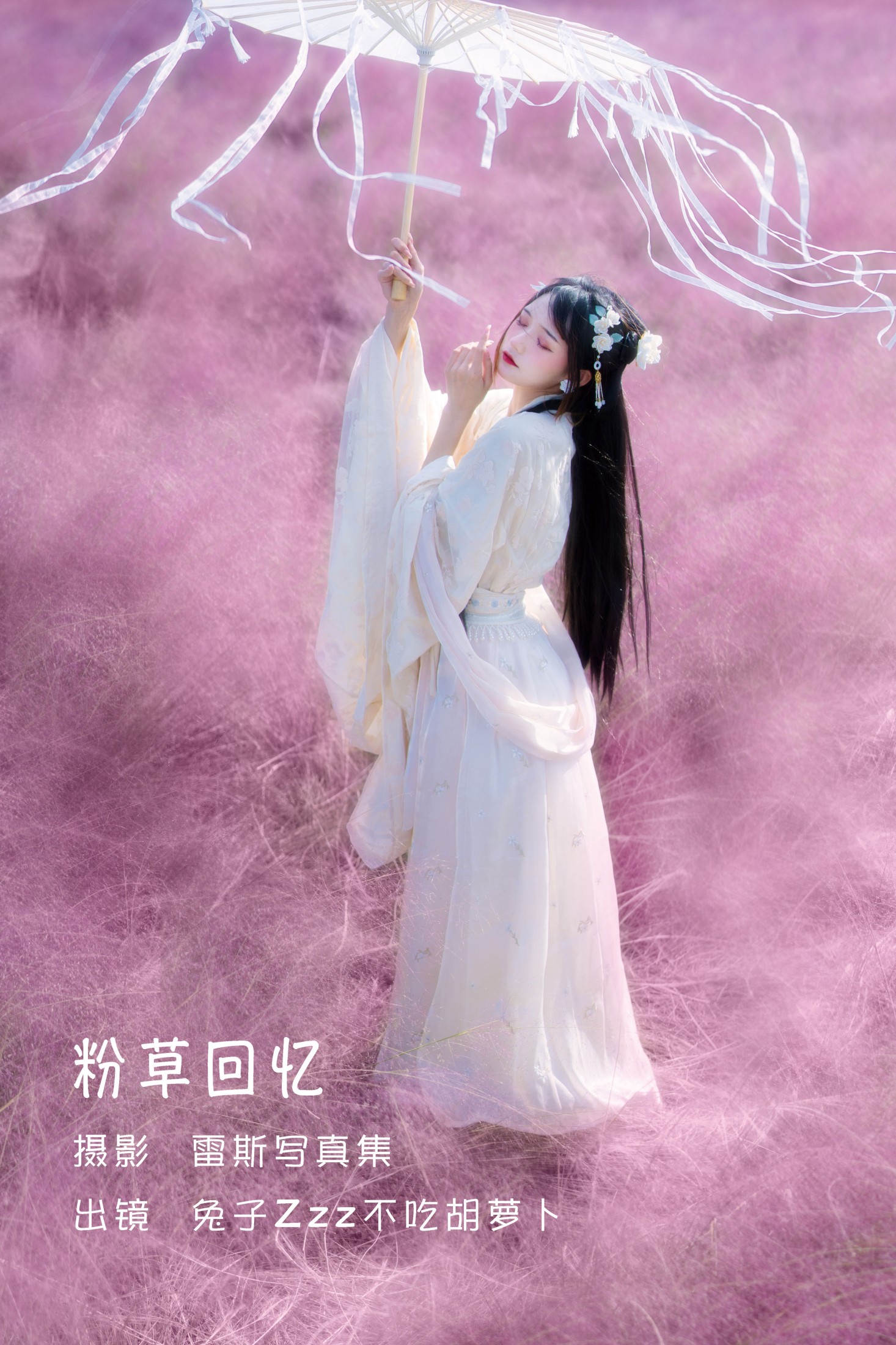 粉草回忆