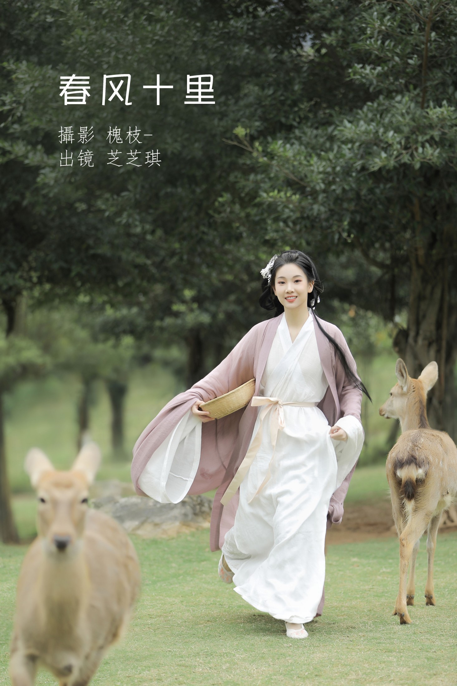 春风十里