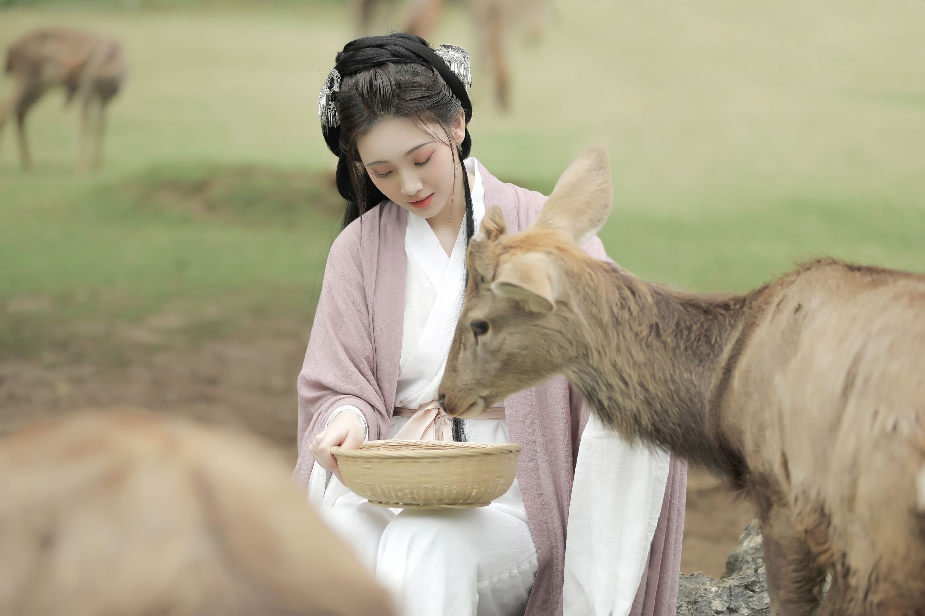 芝芝琪 – 《春风十里》[22P]