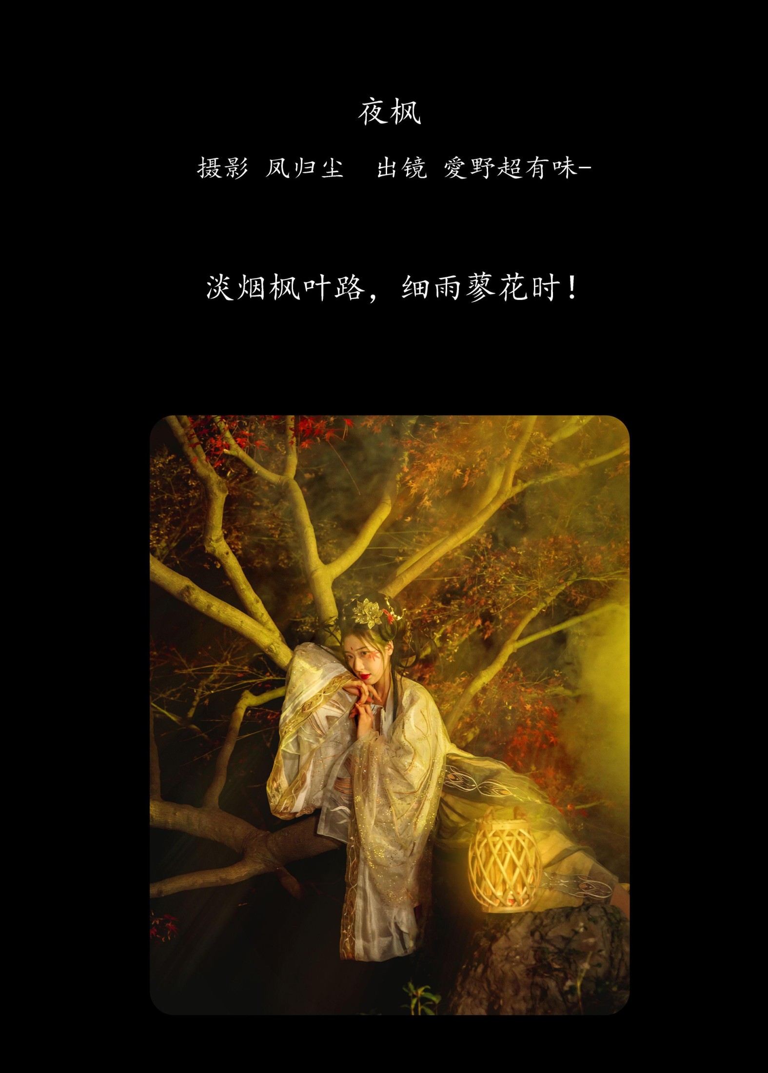 爱野超有味 – 《夜枫》[25P]