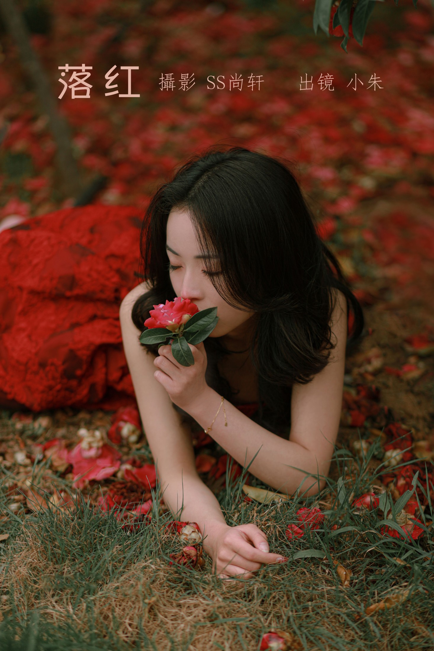 落红