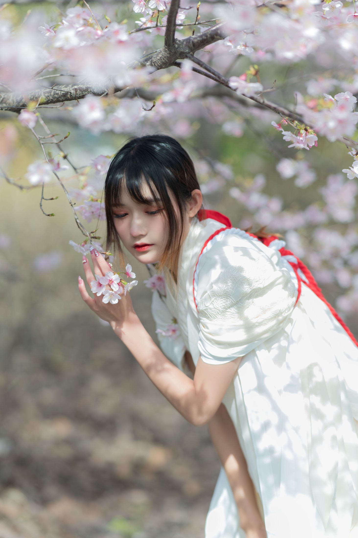 兔子Zzz不吃胡萝卜 – 《樱语》[28P]