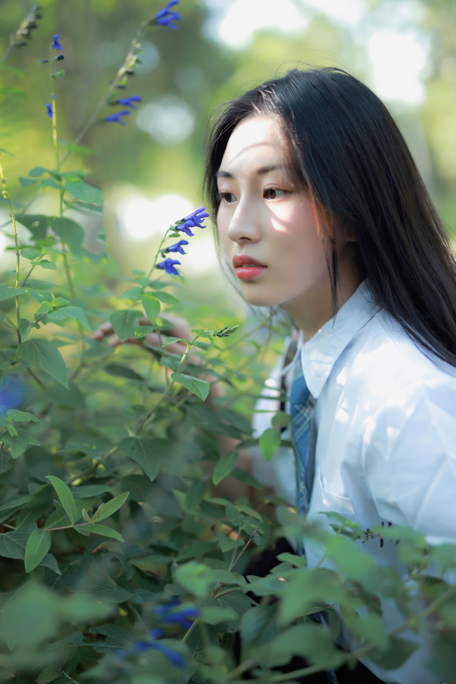 一帆 – 《风很温柔，花很鲜艳》[22P]