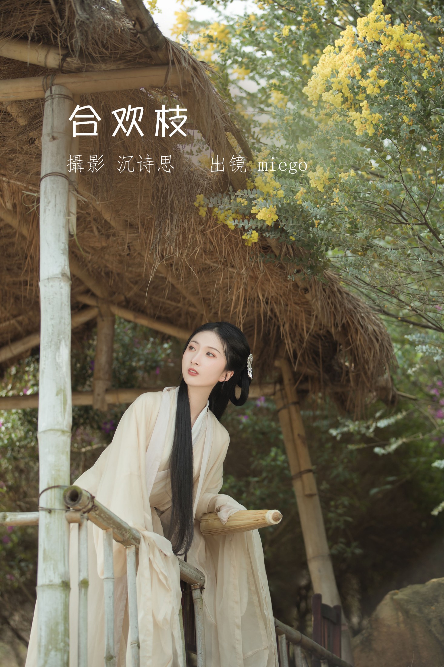 合欢枝