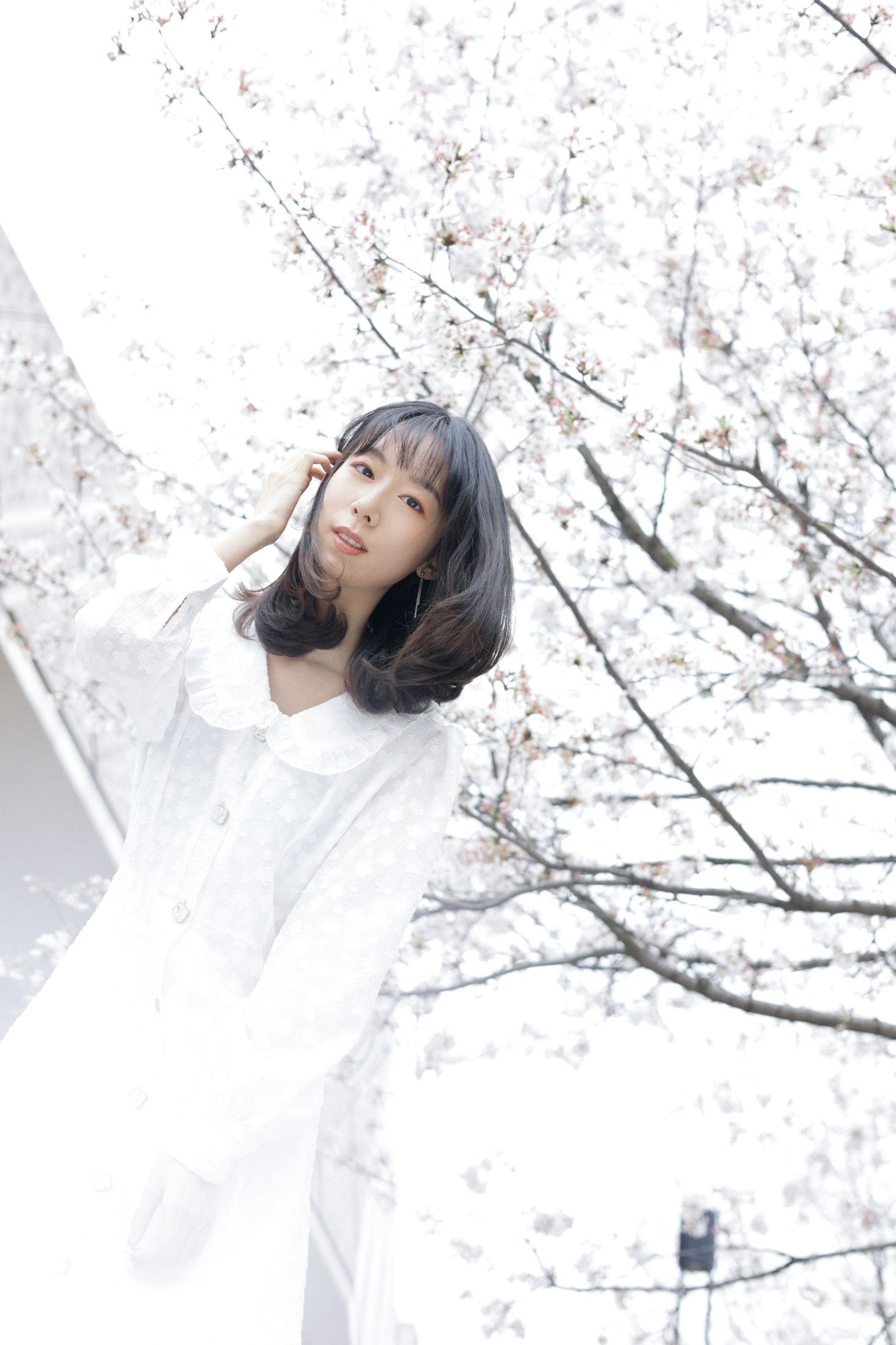 孟商一 – 《白色花语》[26P]