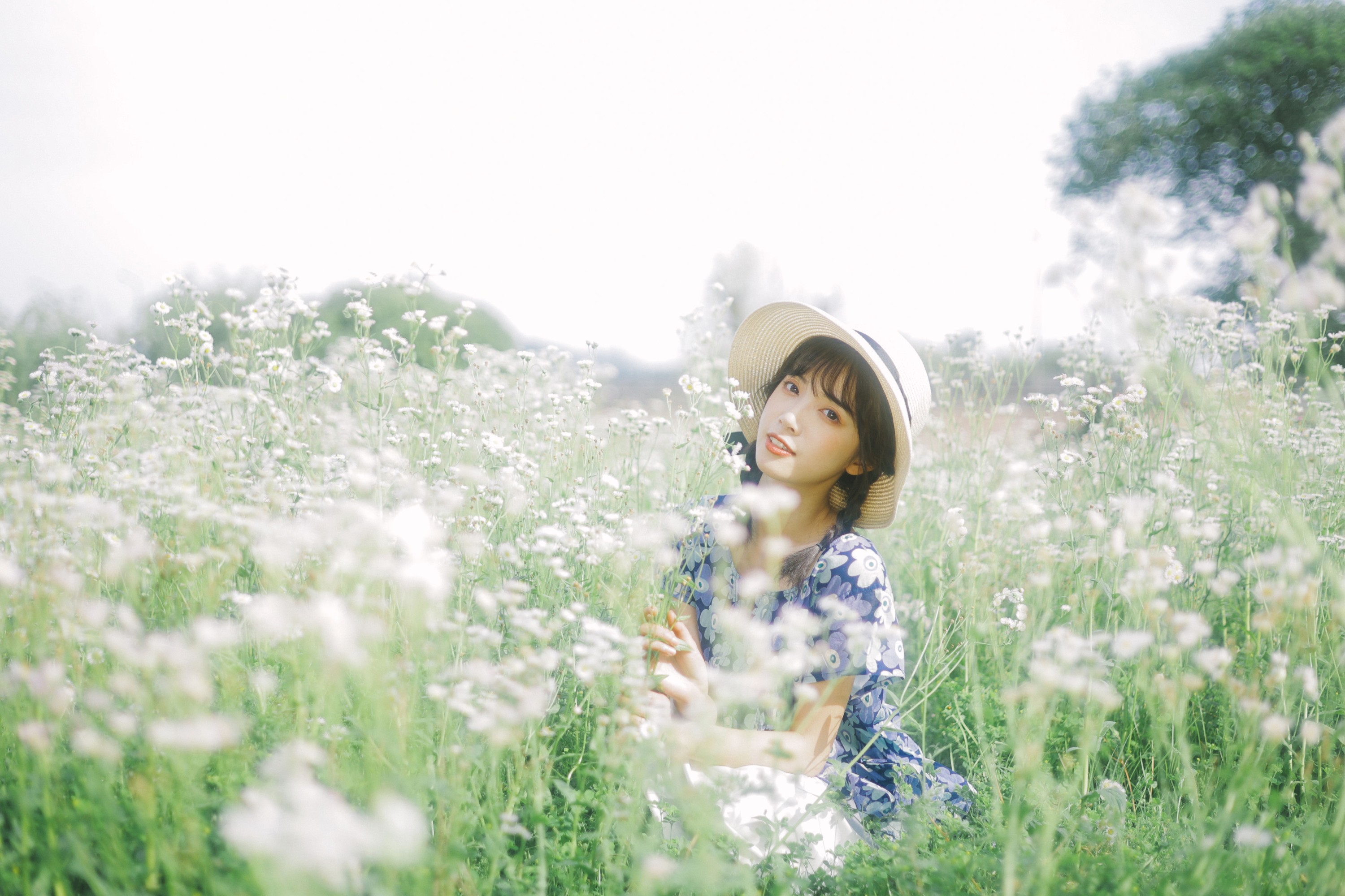 一只阿梦崽 – 《初夏的花海》[35P]