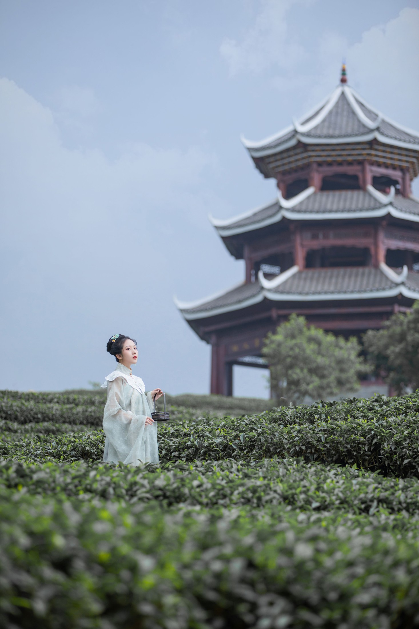 沉诗思 – 《茶记》[20P]