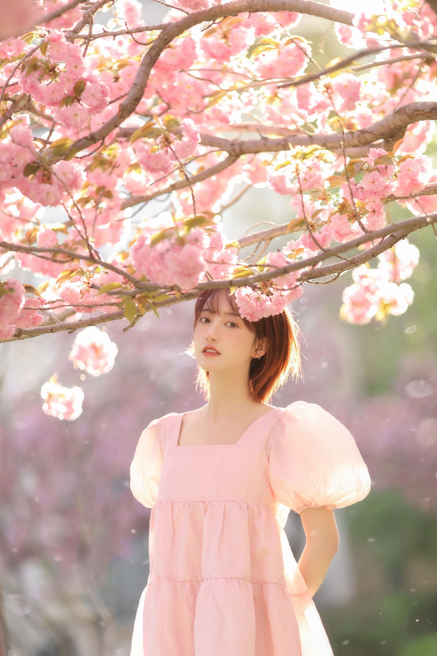 程凡 – 《樱落》[21P]