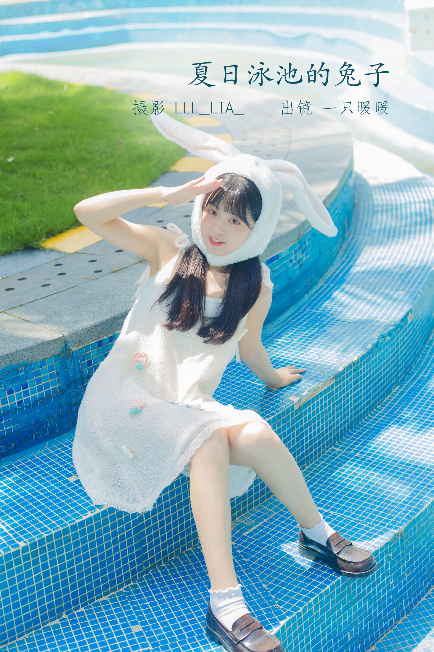 夏日泳池的兔子