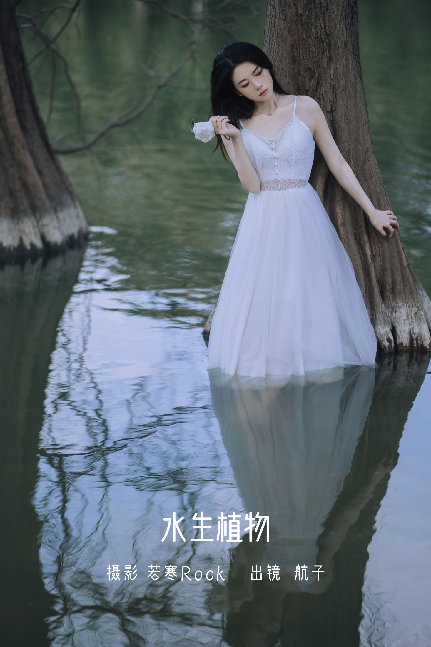 水生植物