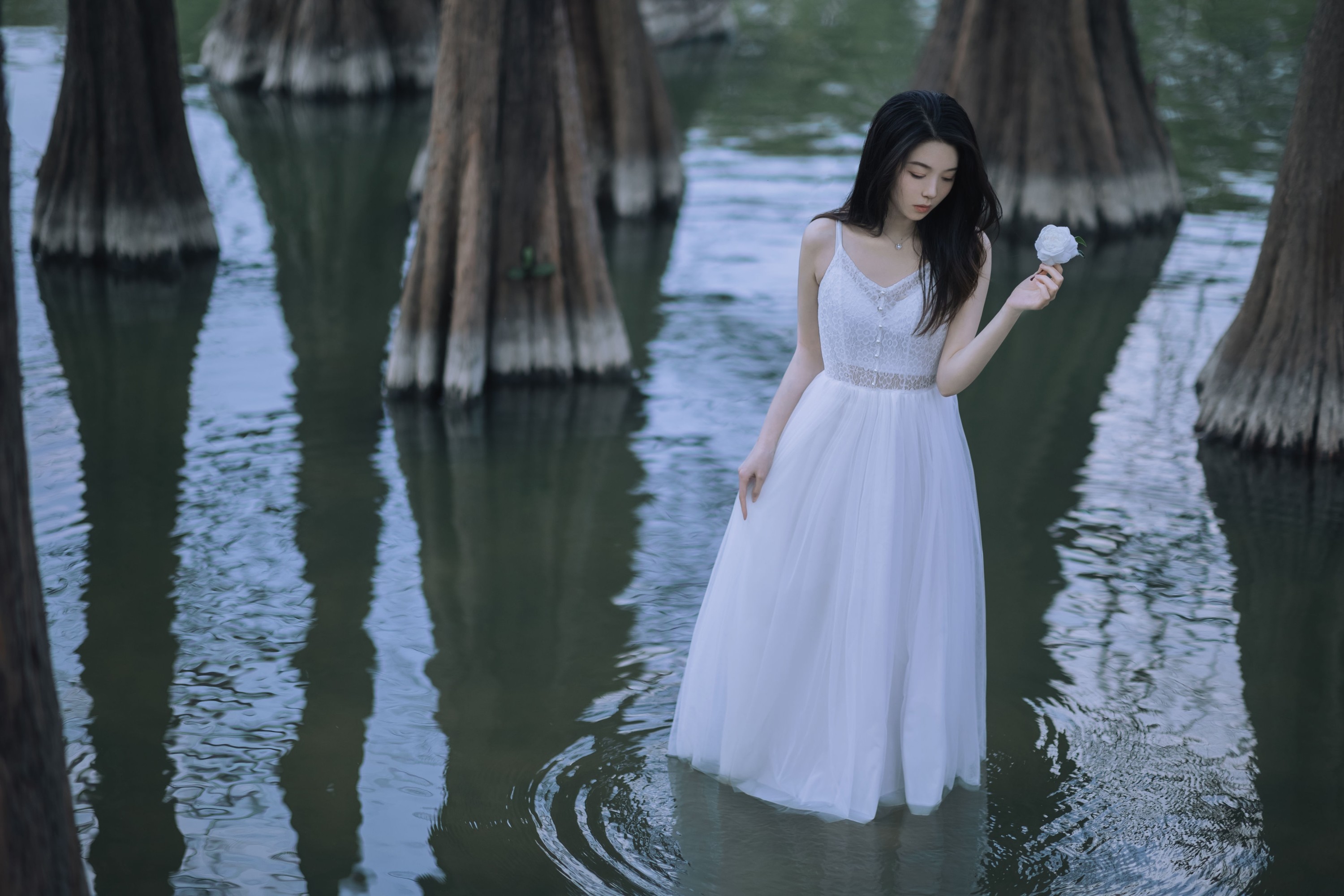 航子就是航子呀 – 《水生植物》[24P]