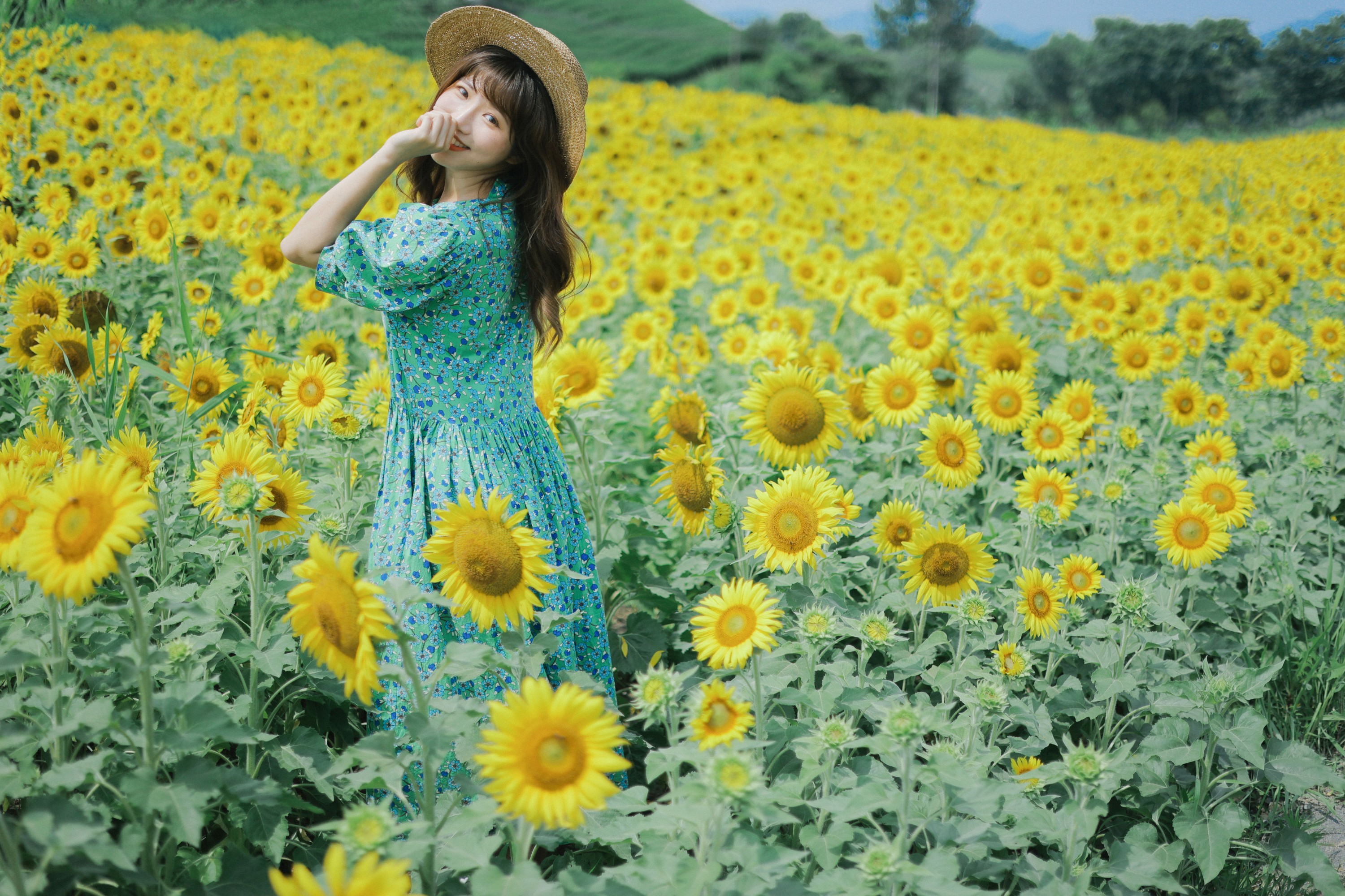 蓝胖子 – 《向日葵的夏日》[33P]
