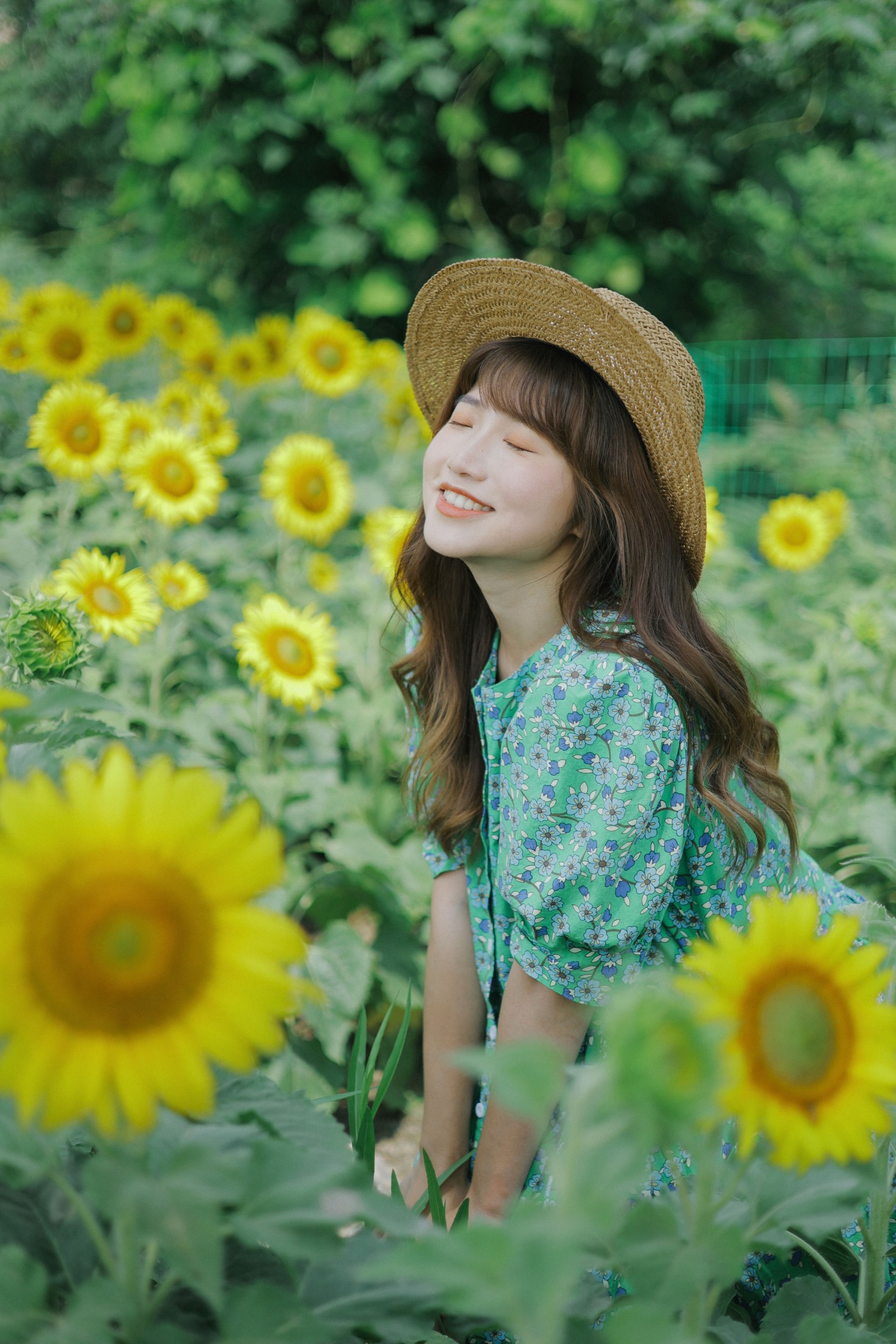 蓝胖子 – 《向日葵的夏日》[33P]