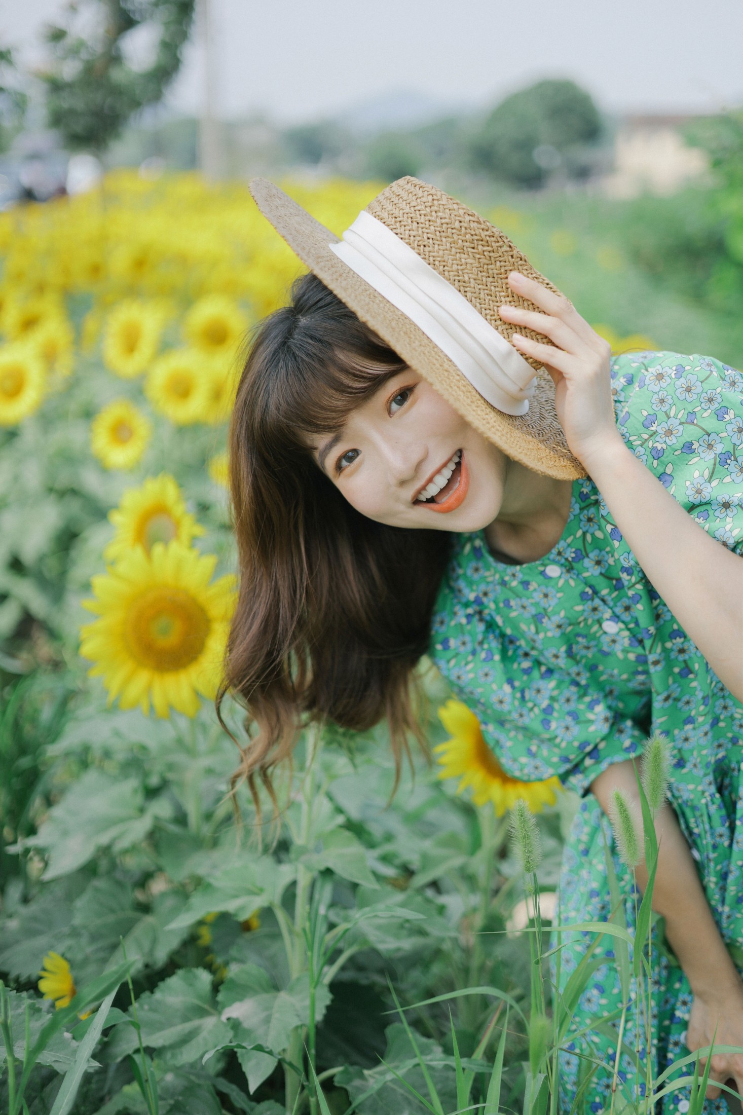 蓝胖子 – 《向日葵的夏日》[33P]