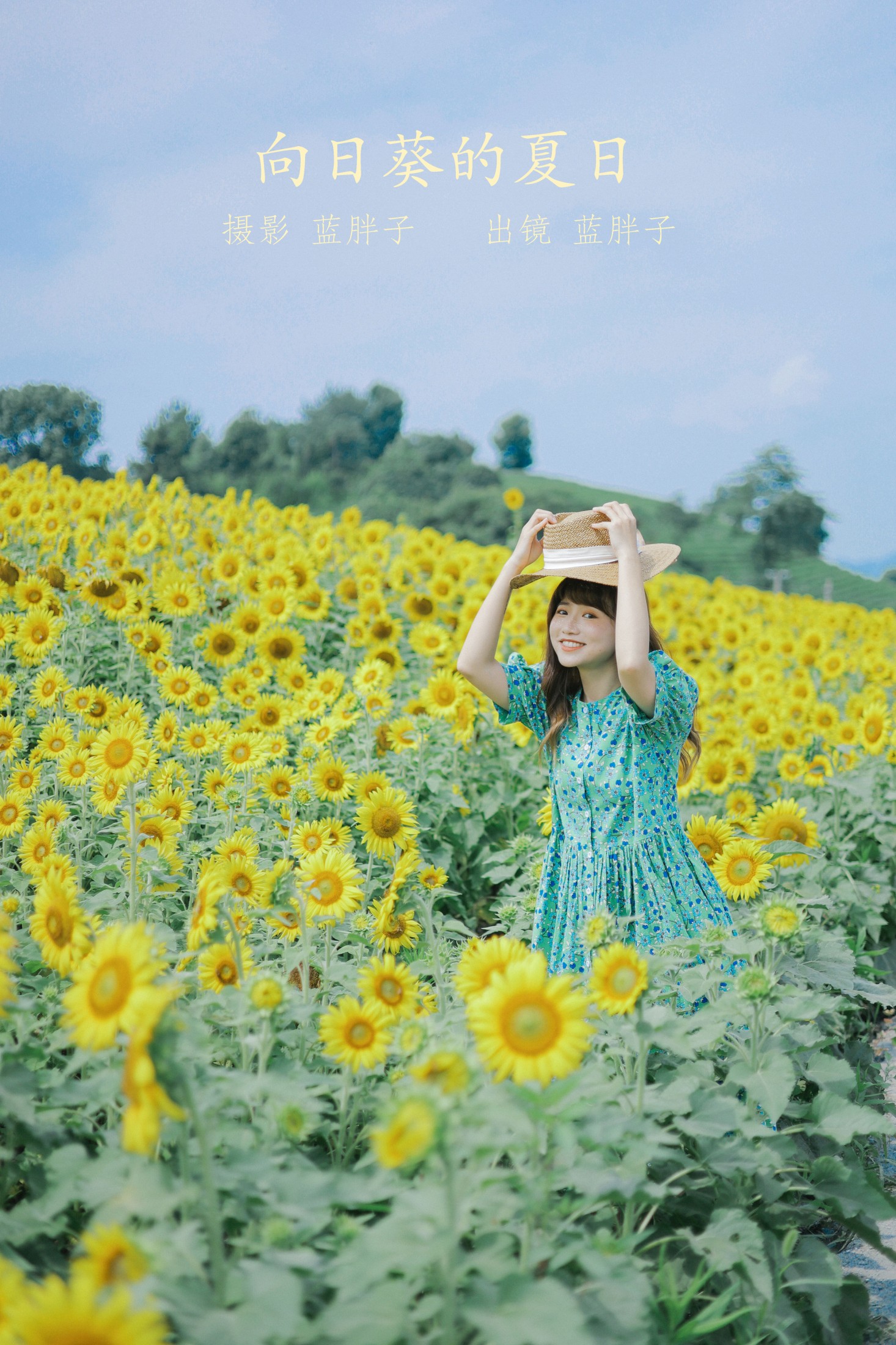 向日葵的夏日