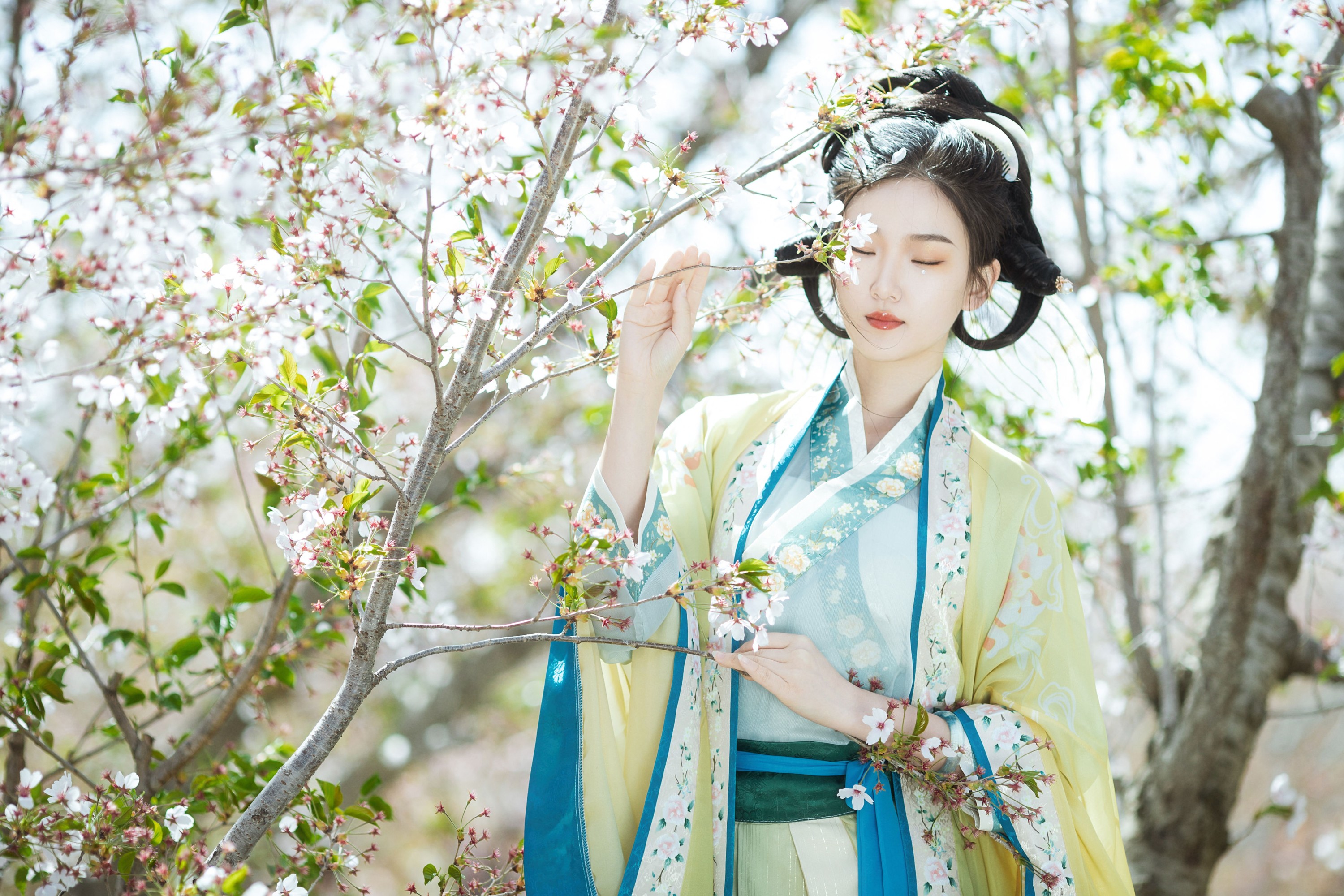 相望回首喵喵喵 – 《蝶恋花》[23P]