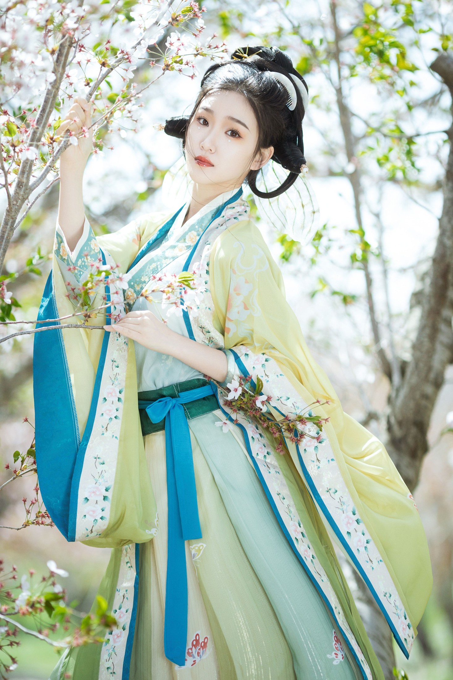 相望回首喵喵喵 – 《蝶恋花》[23P]