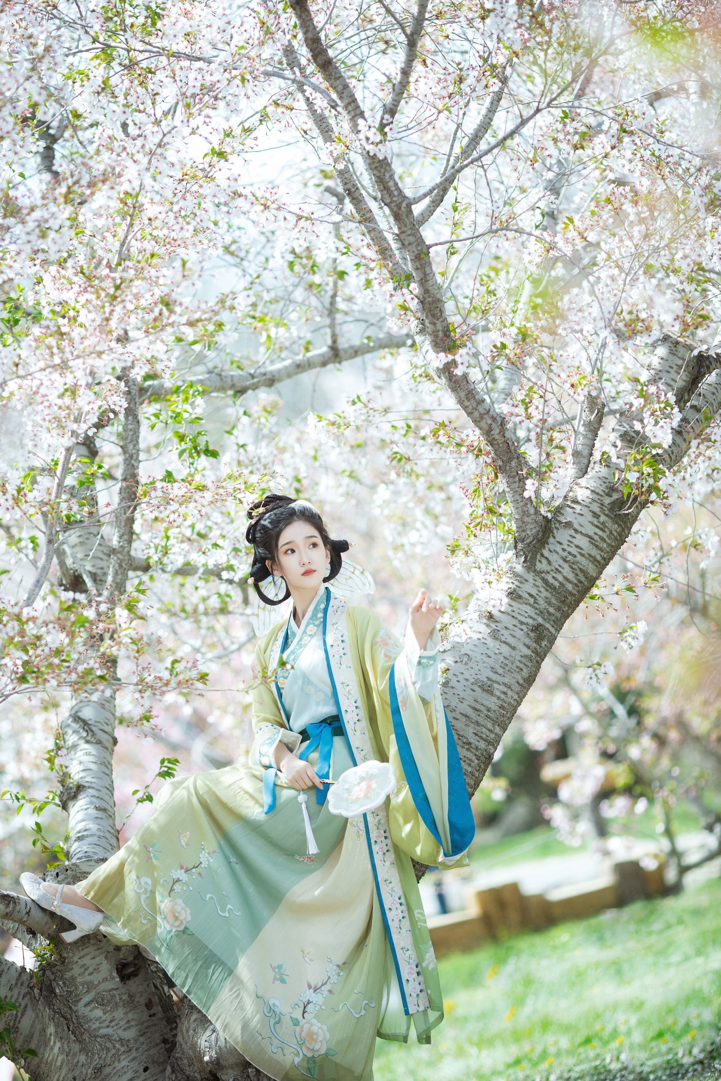 相望回首喵喵喵 – 《蝶恋花》[23P]