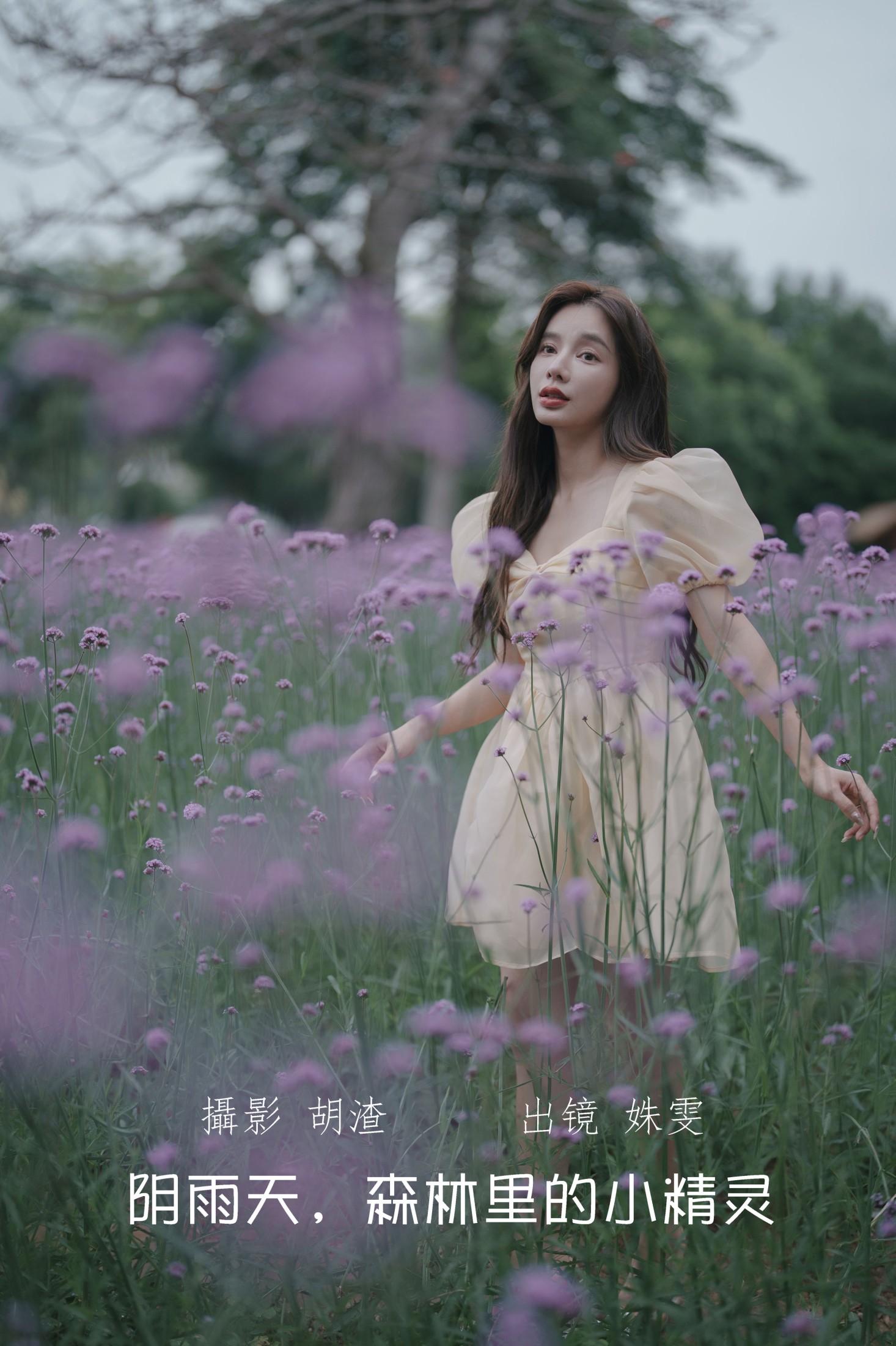 阴雨天,森林里的精灵