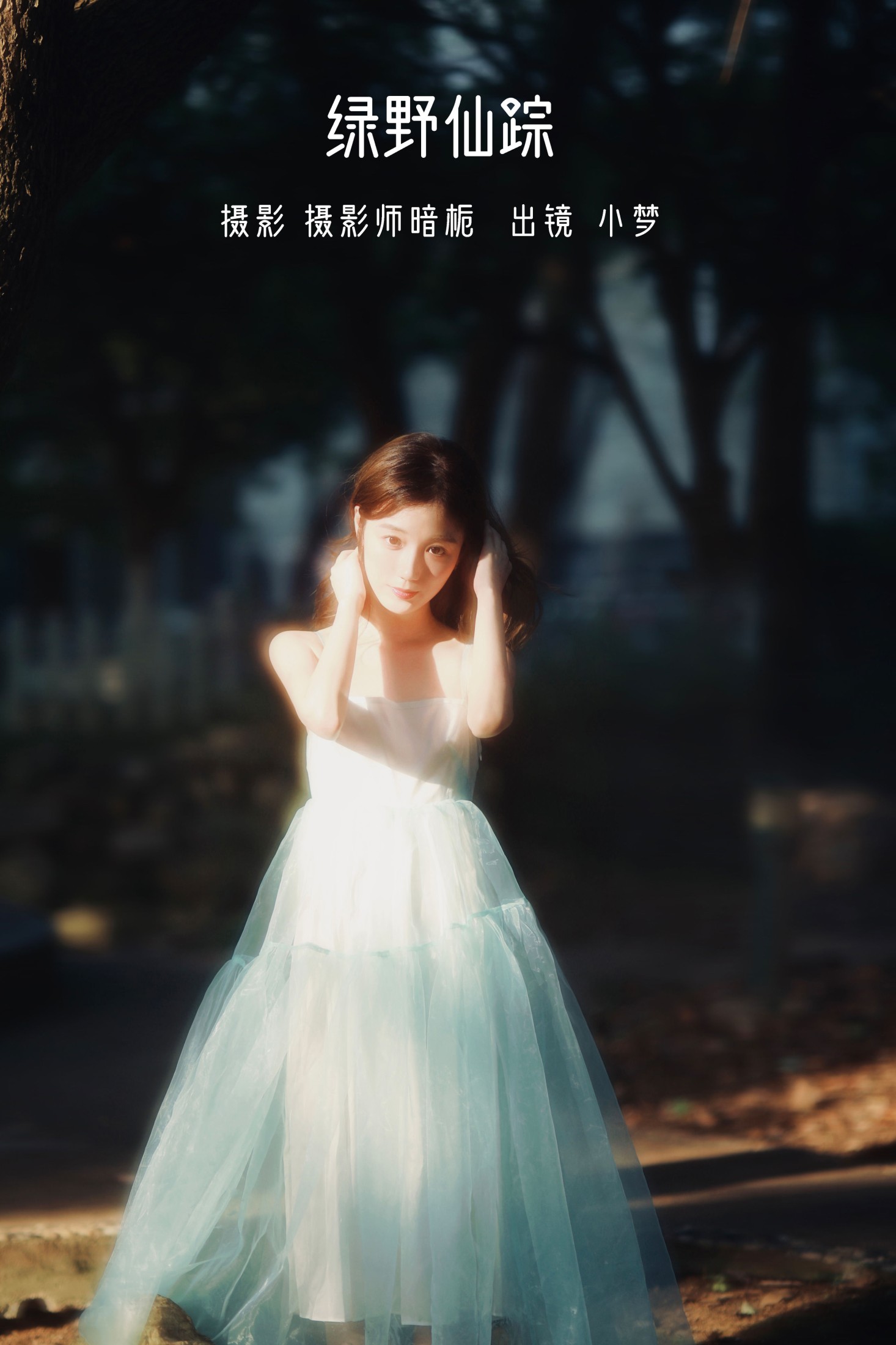 绿野仙踪