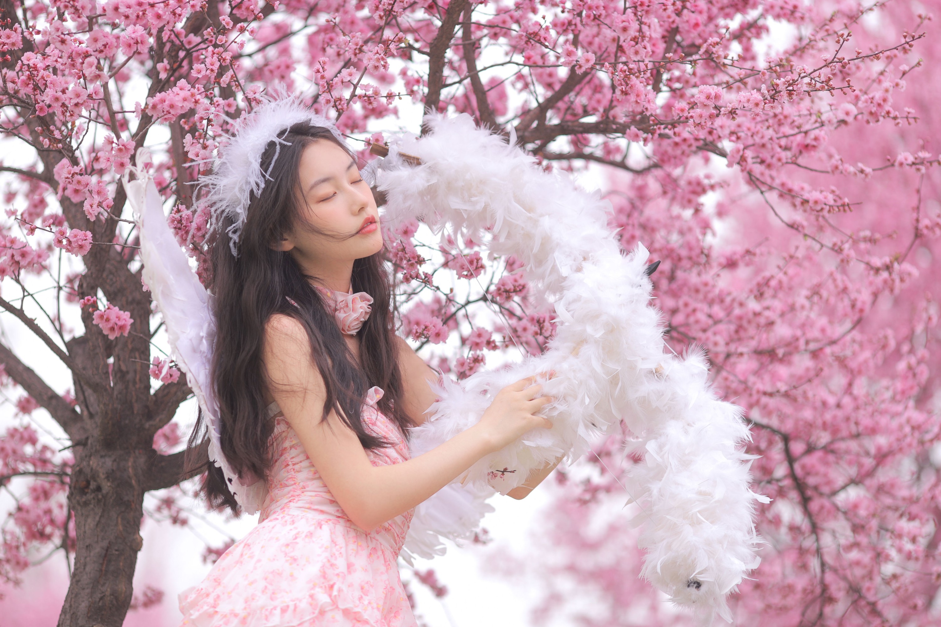 芮芮 – 《早樱天使》[32P]
