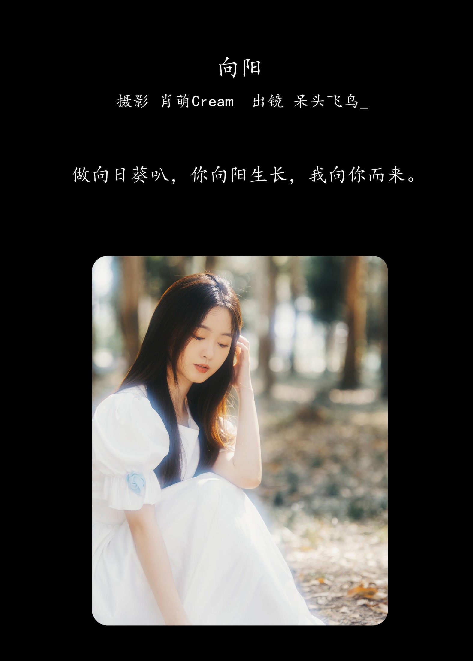 呆头飞鸟_ – 《向阳》[25P]