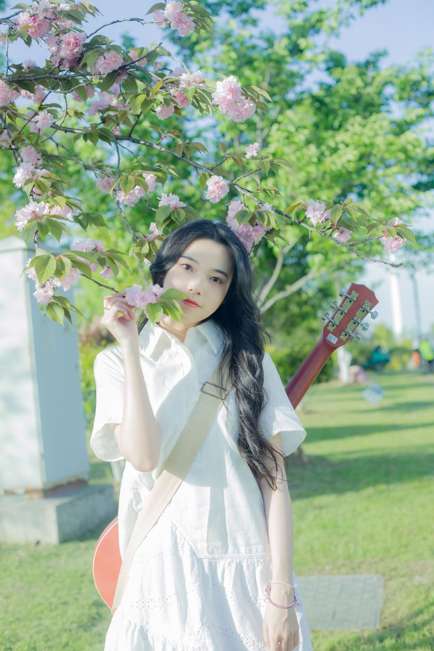靜鏡婧 – 《给晚樱的情歌》[28P]