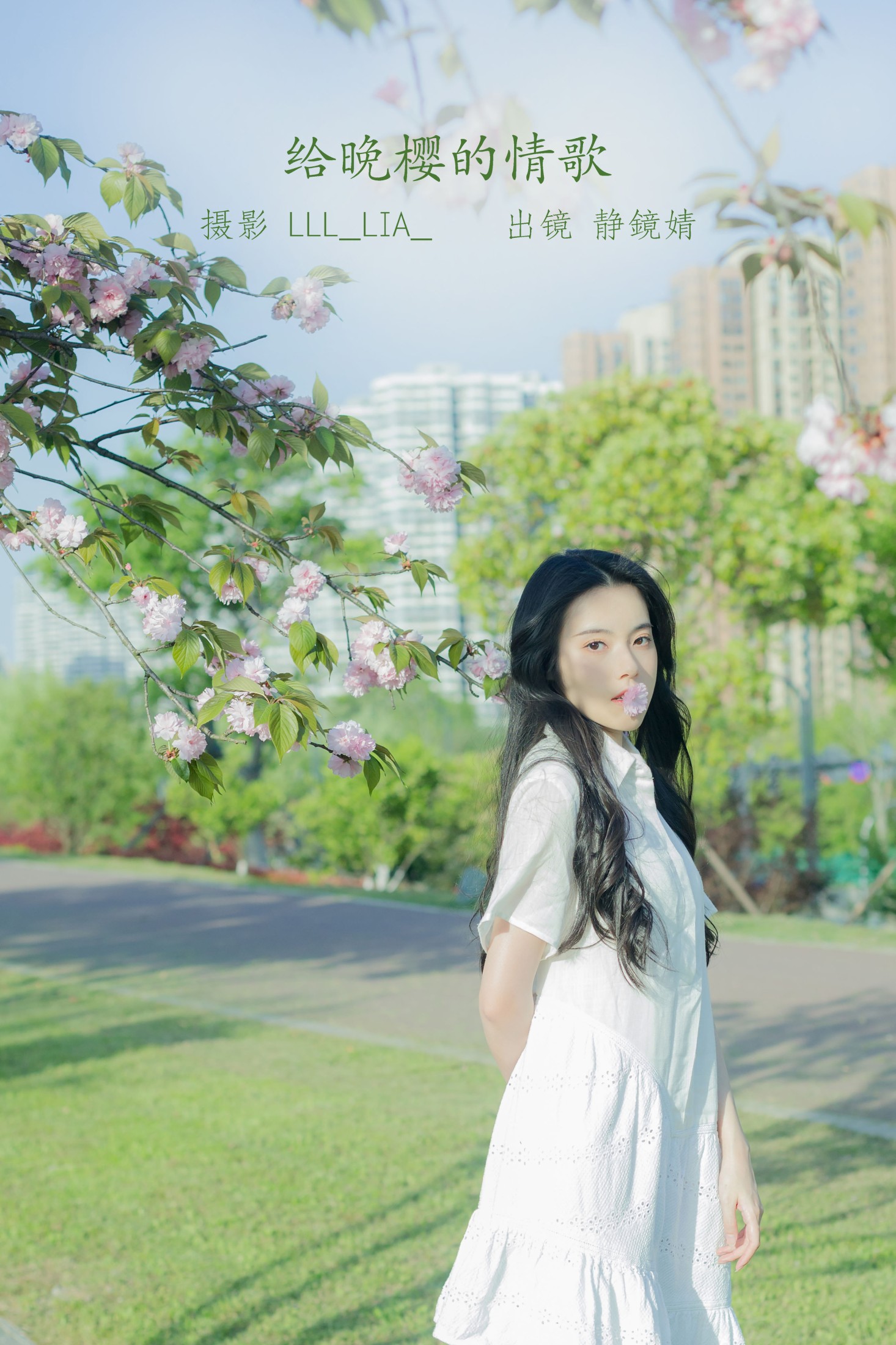 给晚樱的情歌