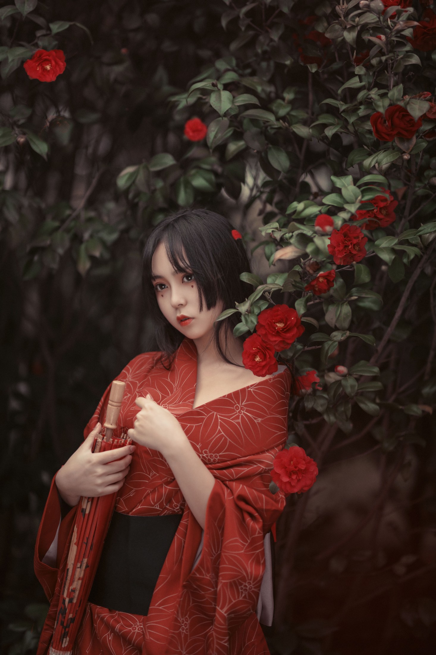 阡墨红尘 – 《葬花》[23P]