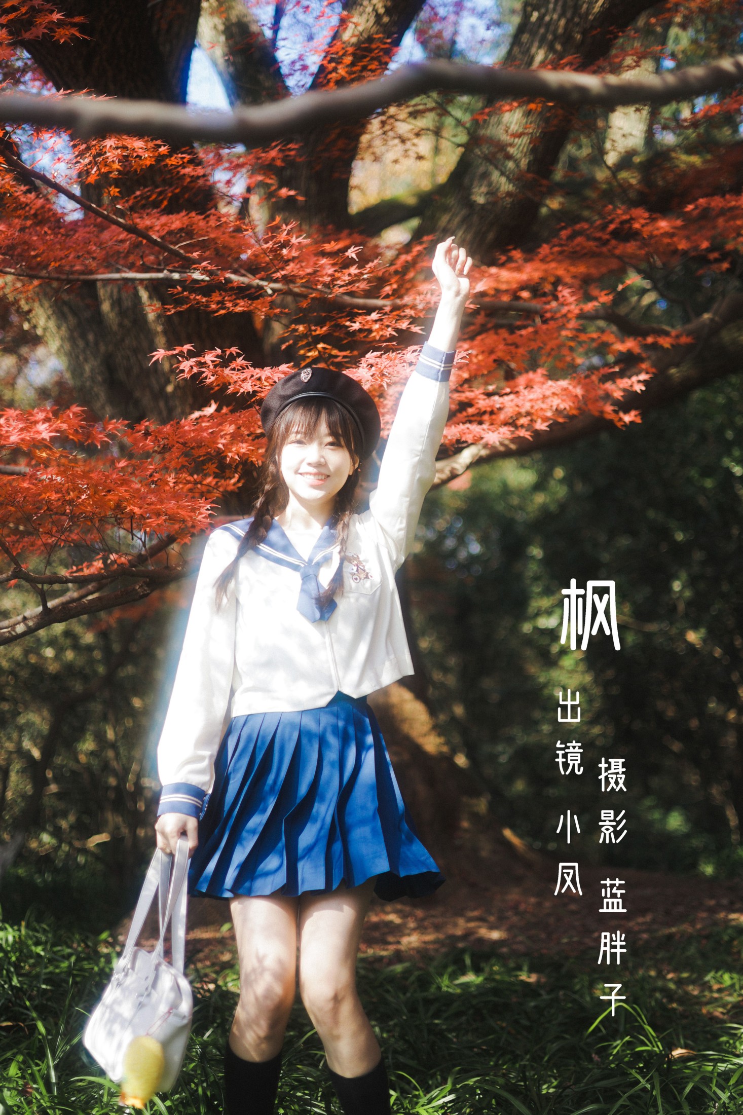 枫