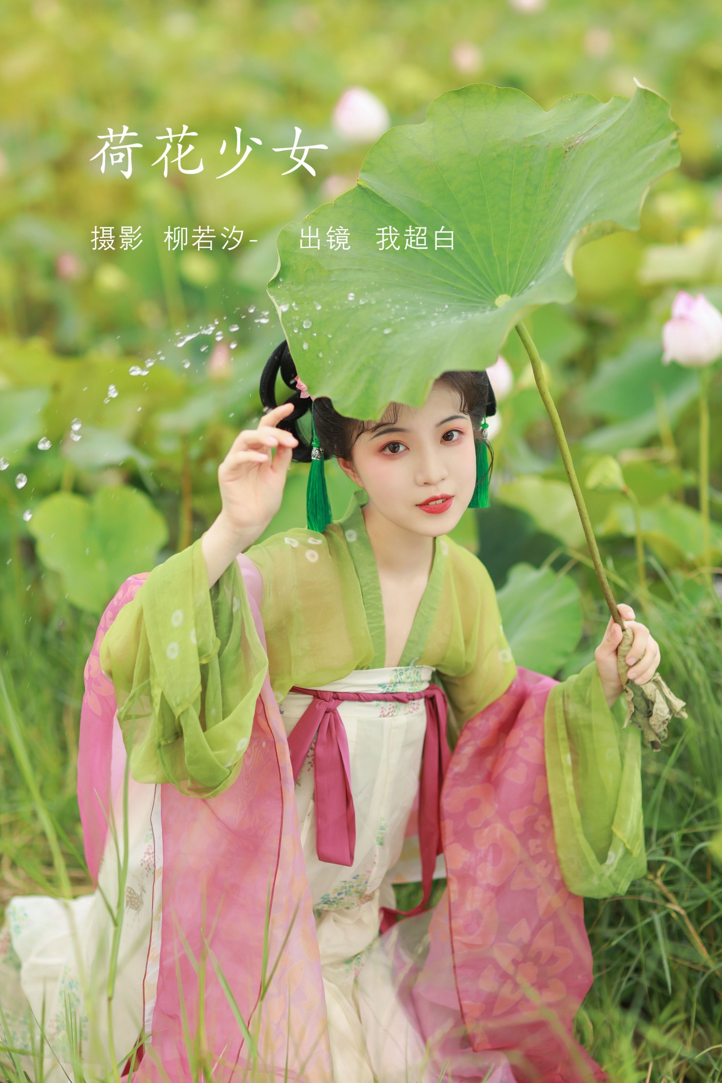 荷花少女
