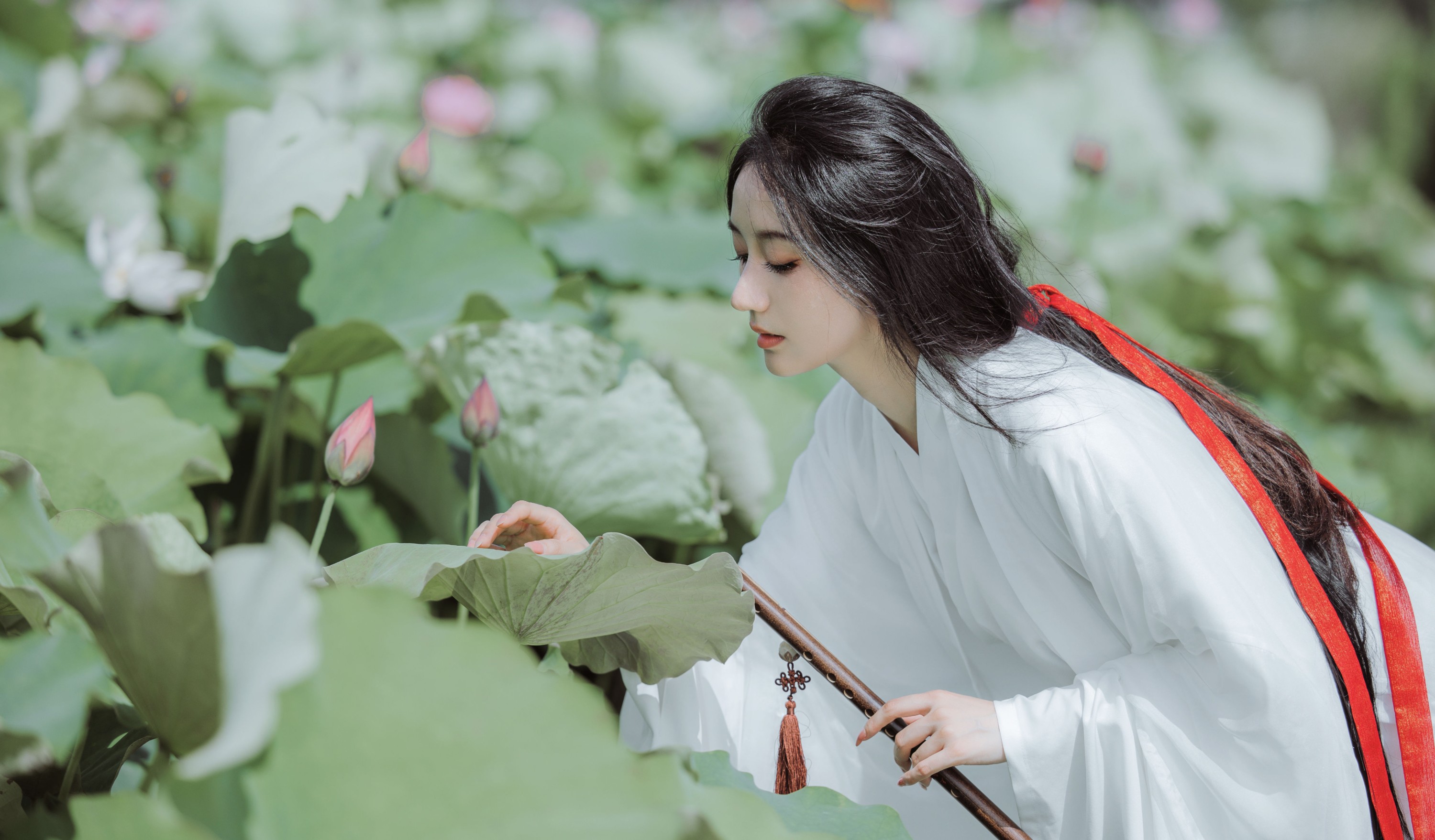 柒苡安 – 《荷花》[23P]