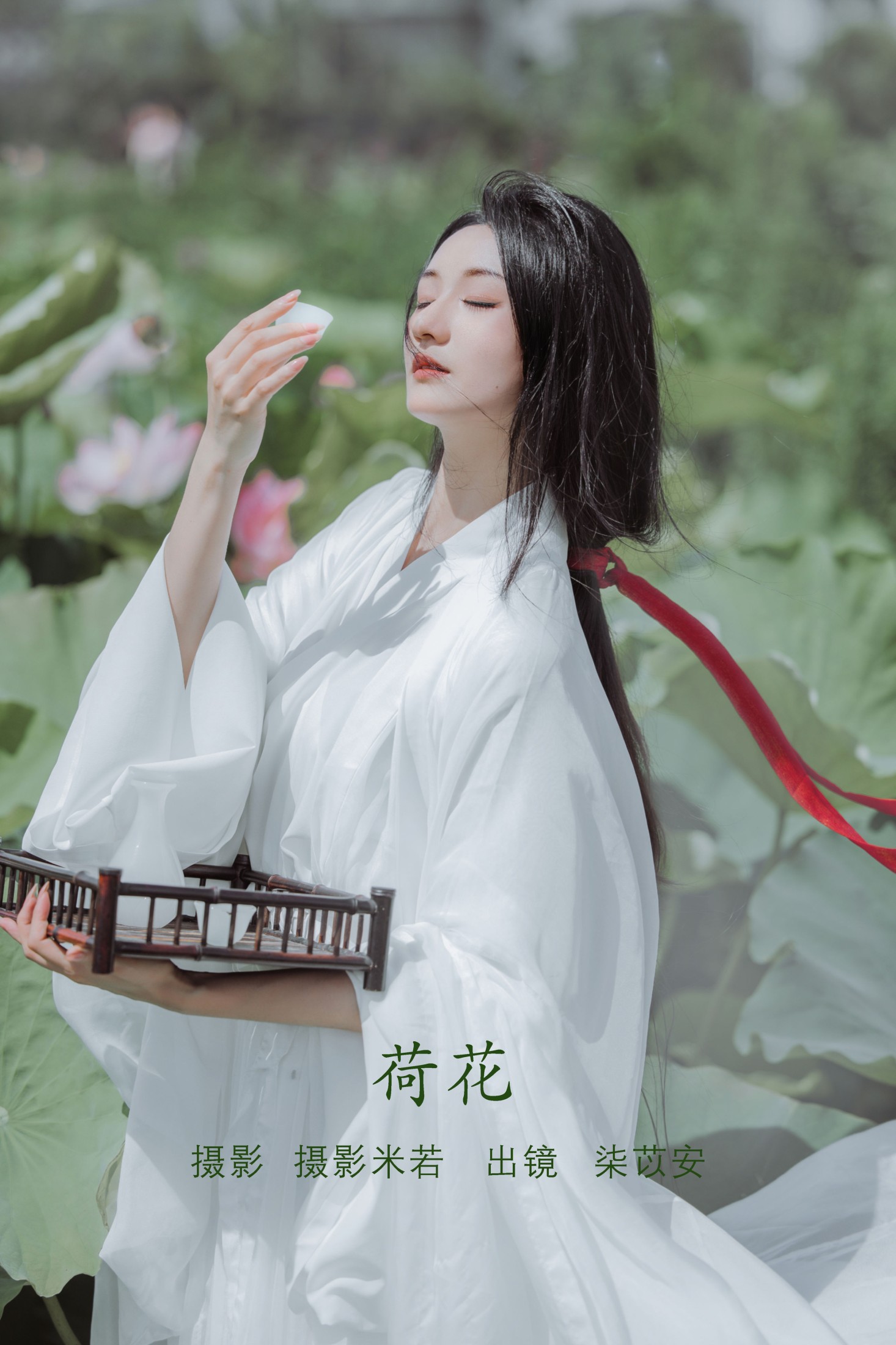 荷花