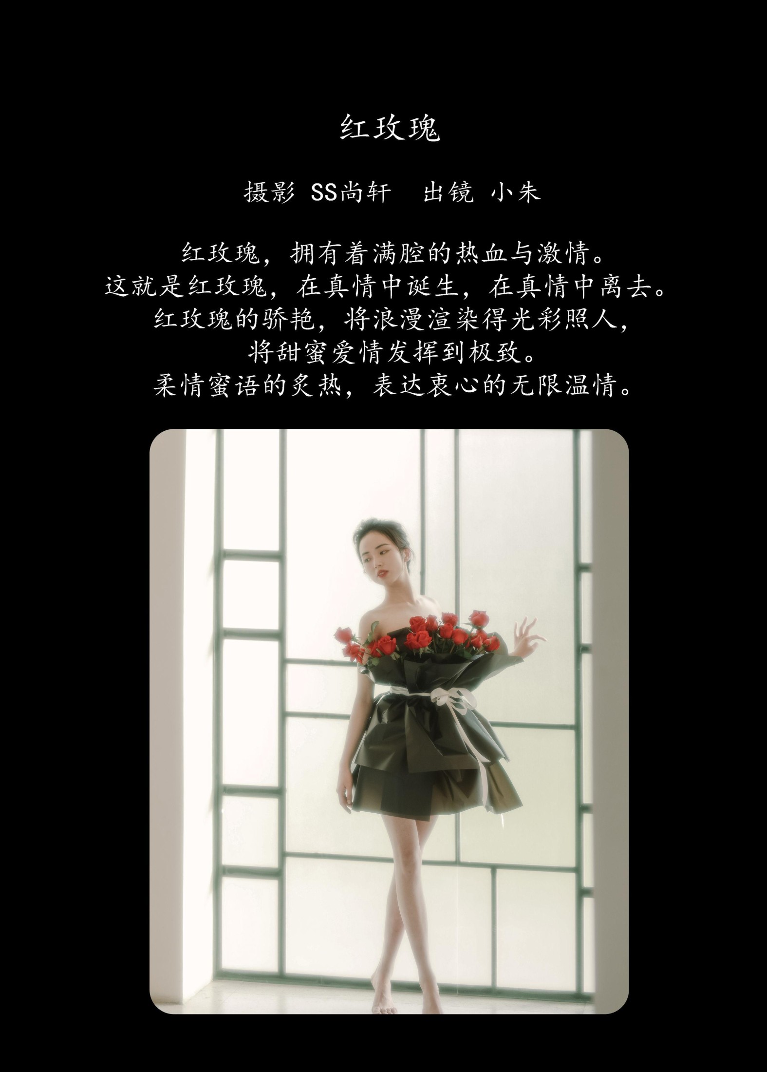 卖恐龙的小红薯 – 《红玫瑰》[34P]