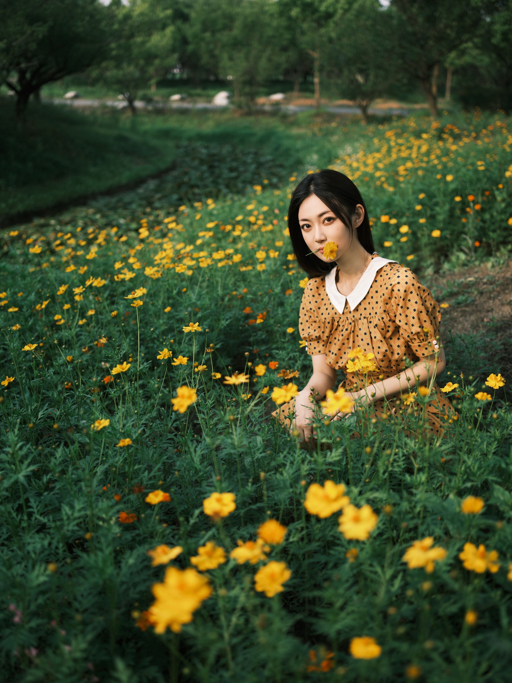 飞鸟咕咕- – 《硫华菊&amp;柳叶马鞭草-是夏天的味道呀！》[44P]
