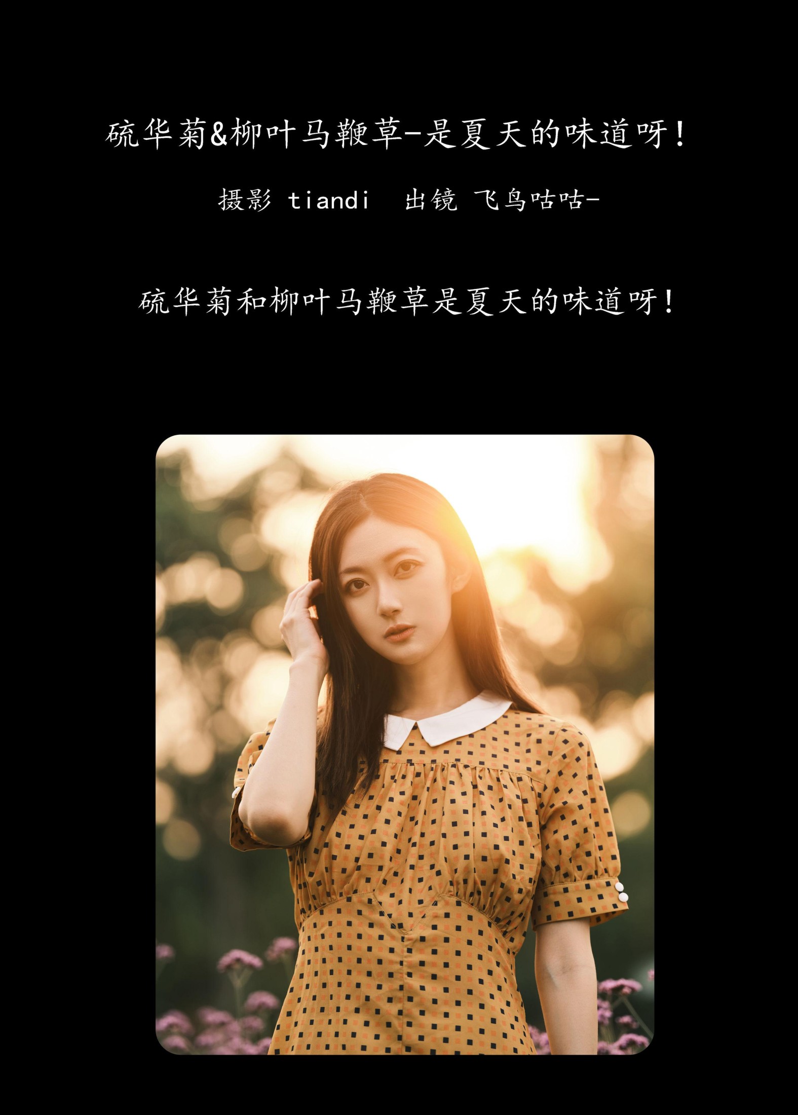 飞鸟咕咕- – 《硫华菊&amp;柳叶马鞭草-是夏天的味道呀！》[44P]