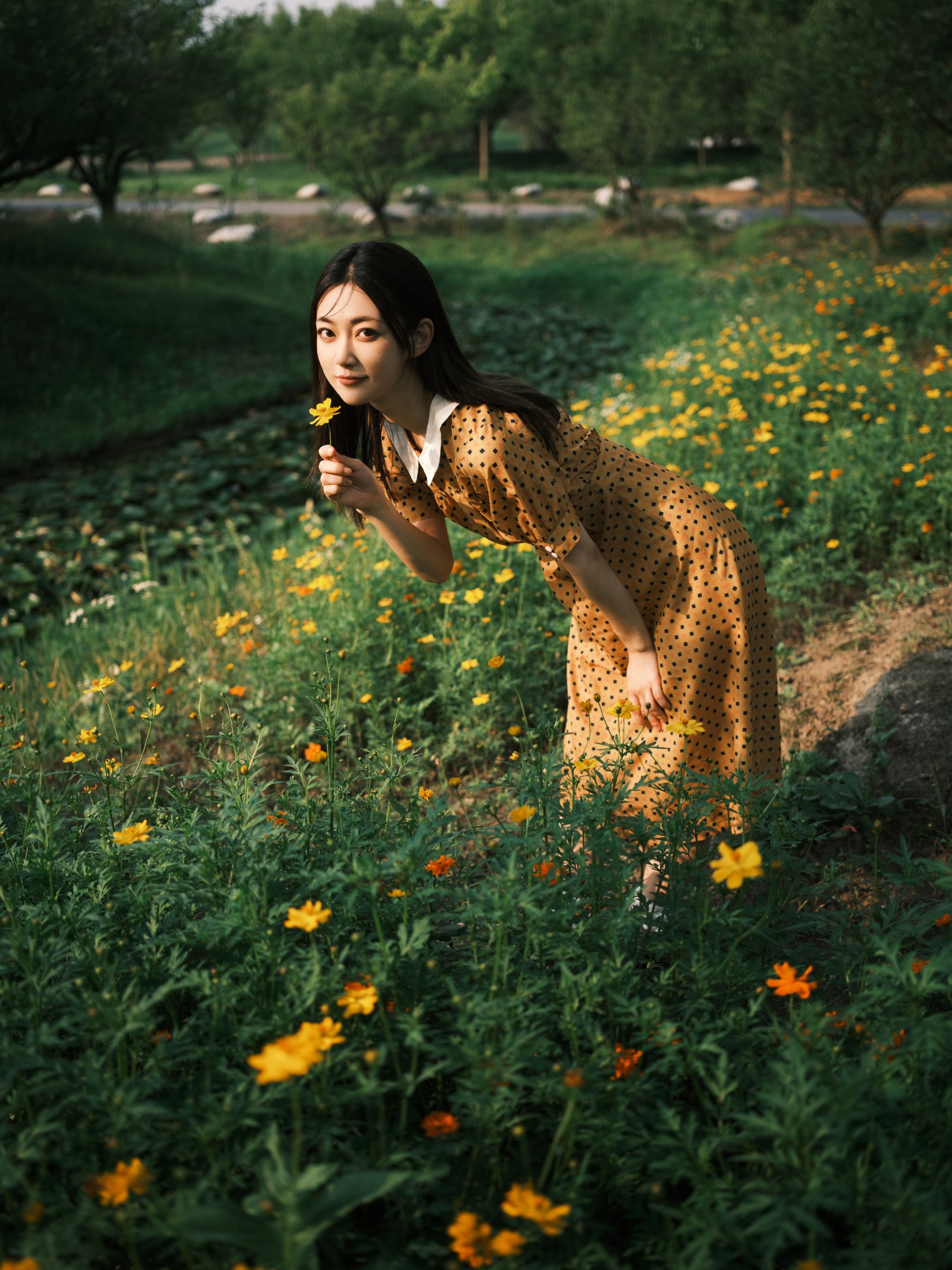 飞鸟咕咕- – 《硫华菊&amp;柳叶马鞭草-是夏天的味道呀！》[44P]