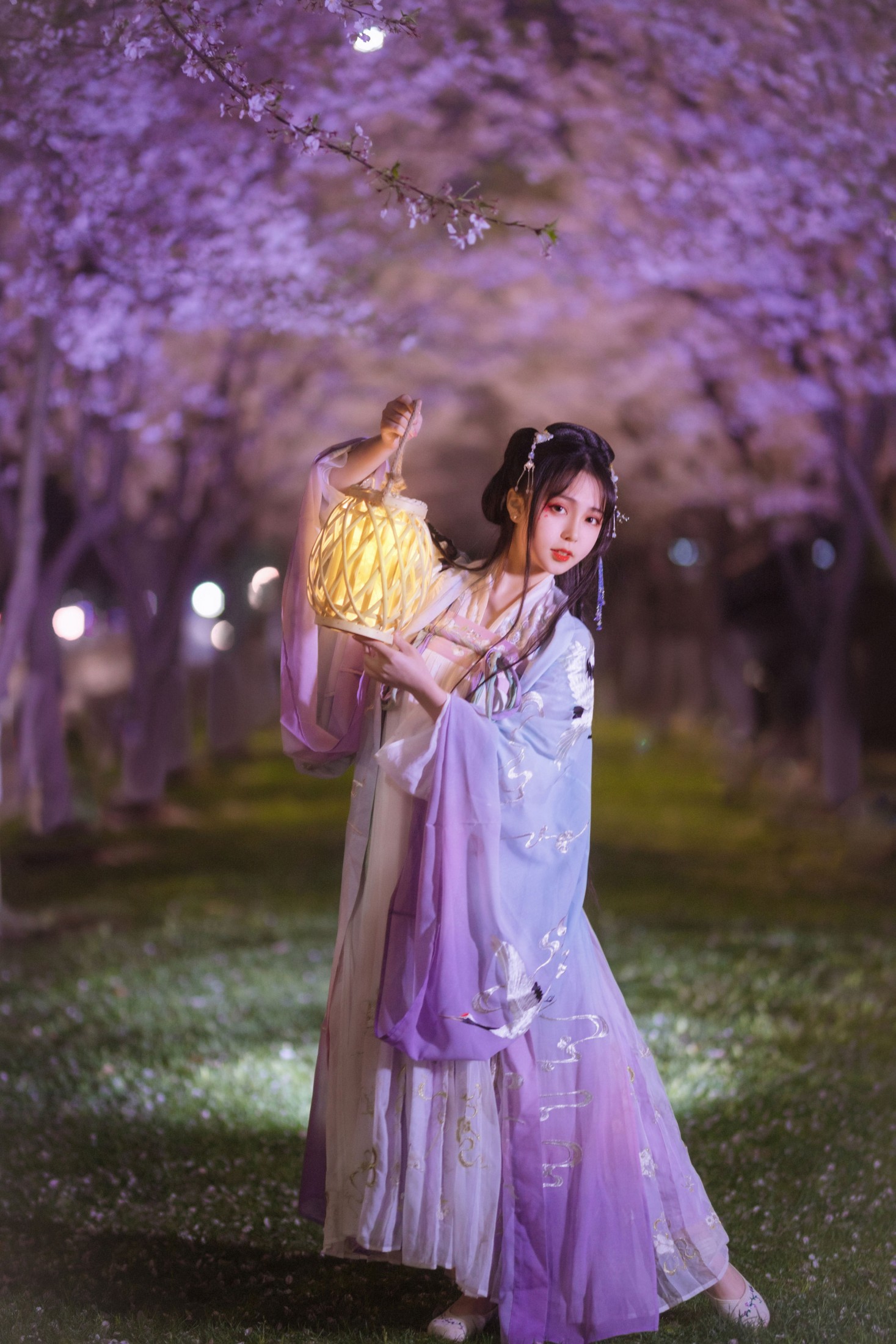 阡墨红尘 – 《夜樱》[20P]