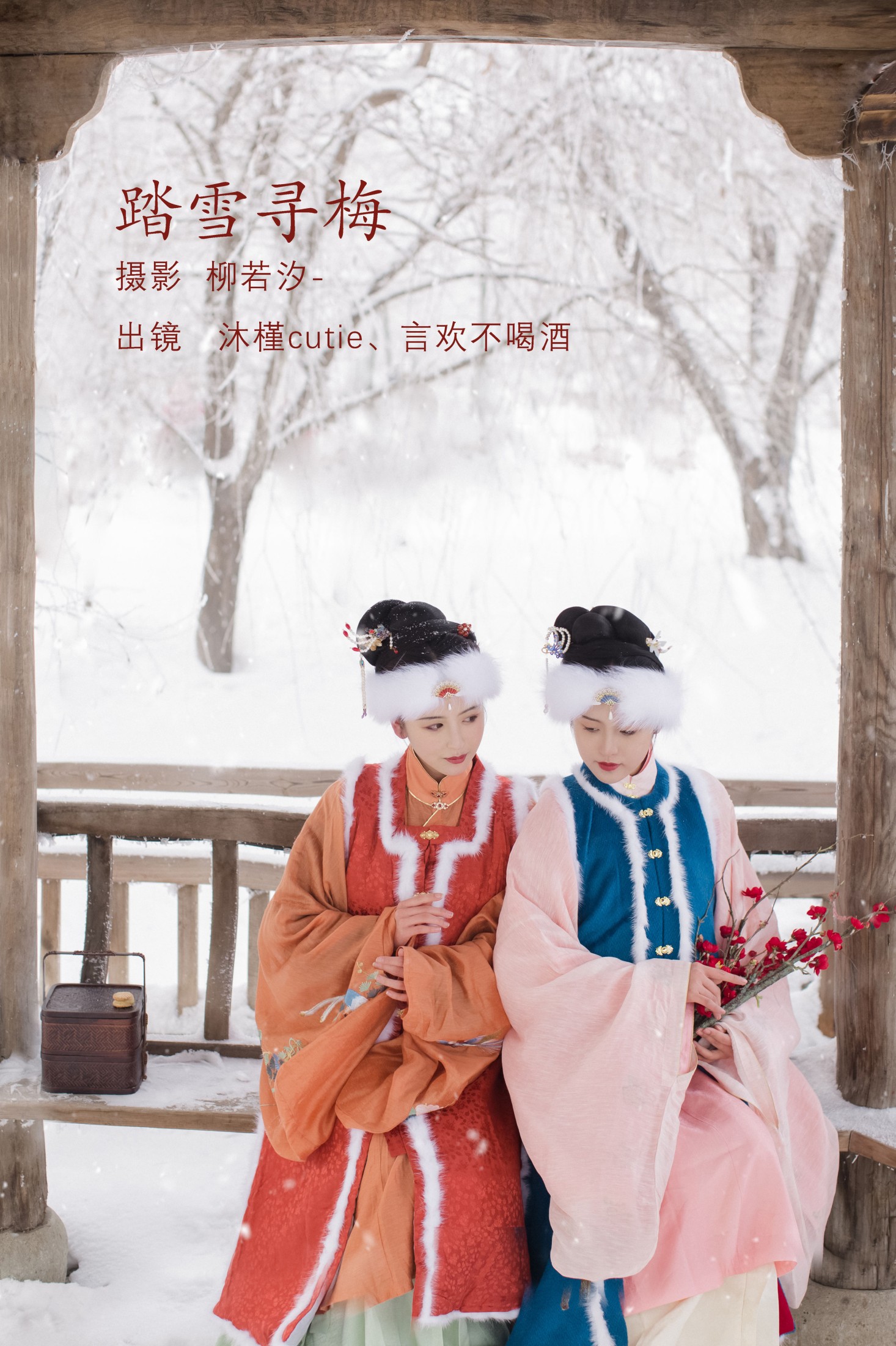 踏雪寻梅