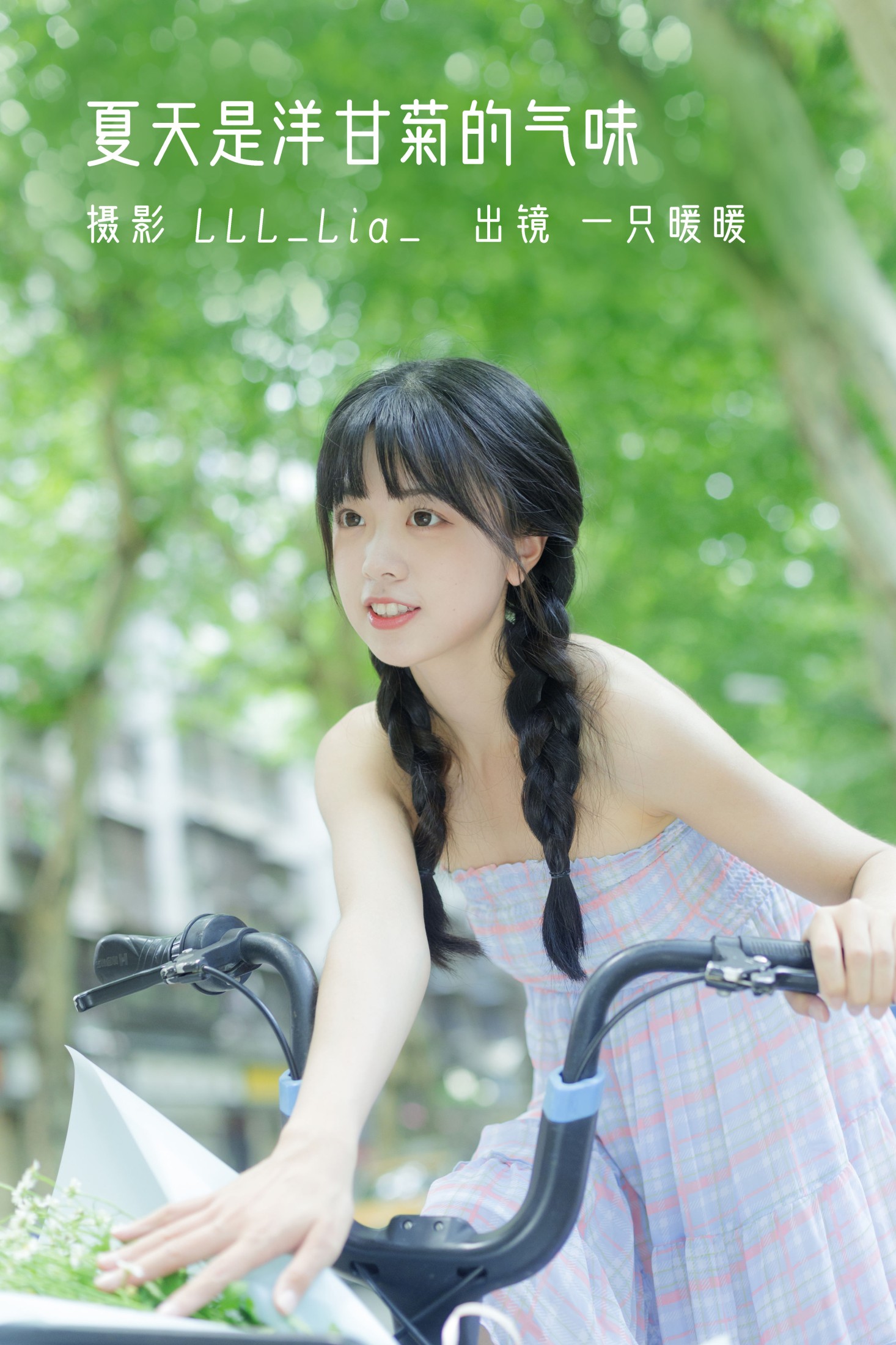 夏天是洋甘菊的气味