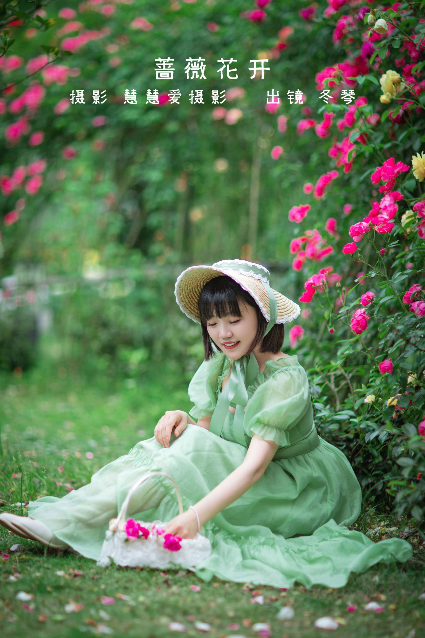 蔷薇花开