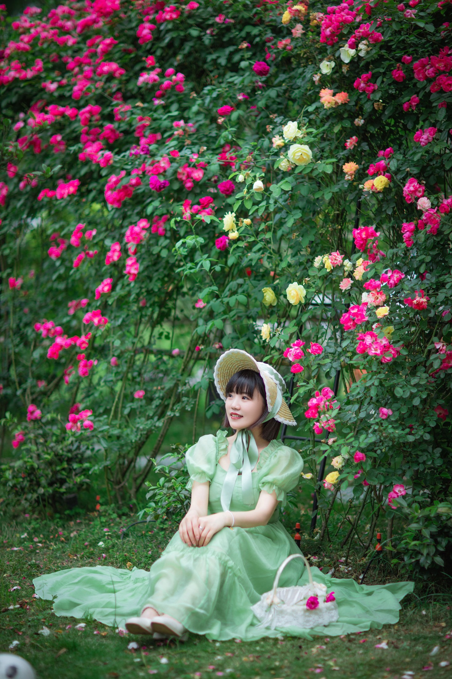 冬琴 – 《蔷薇花开》[20P]
