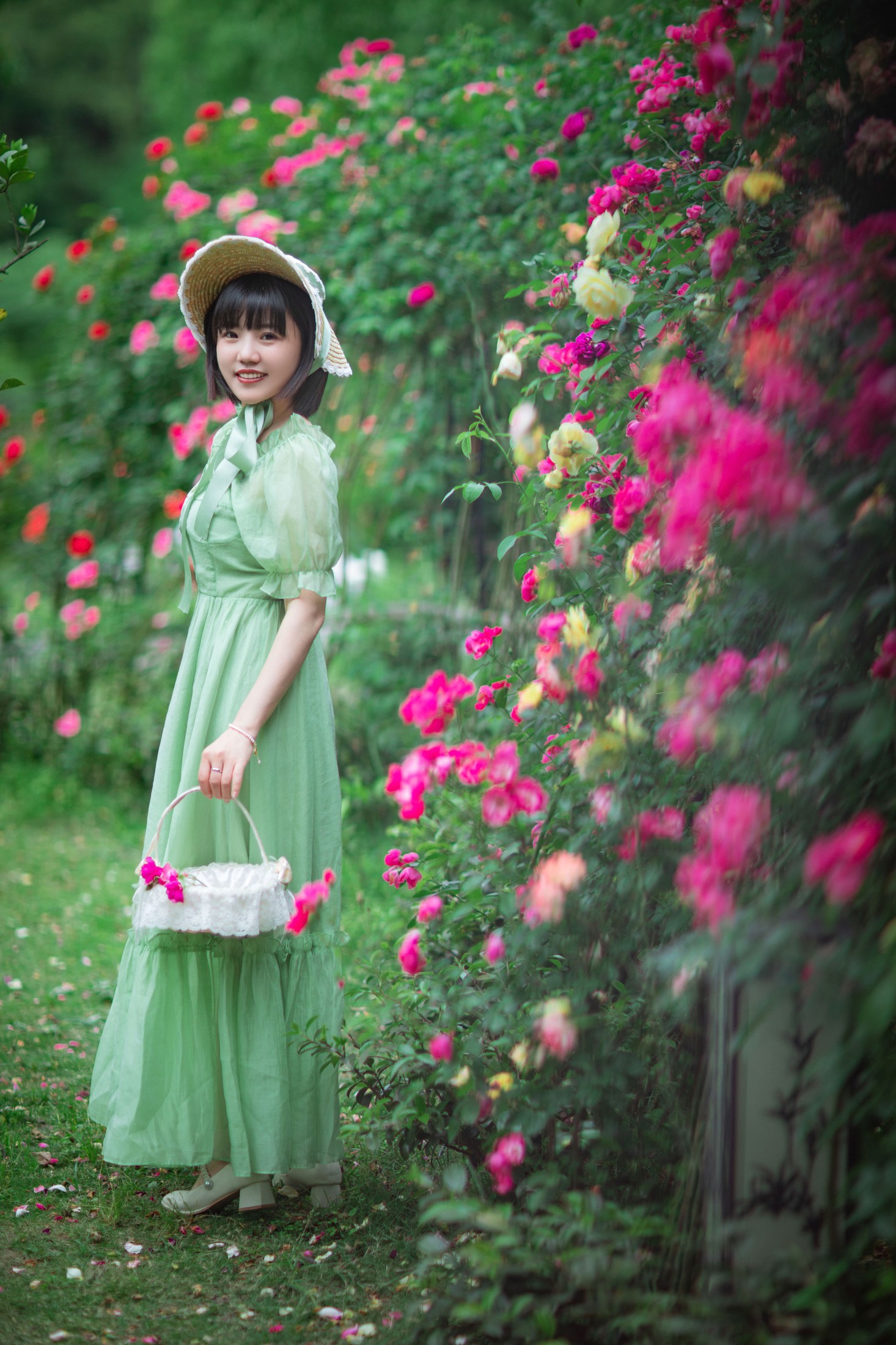 冬琴 – 《蔷薇花开》[20P]