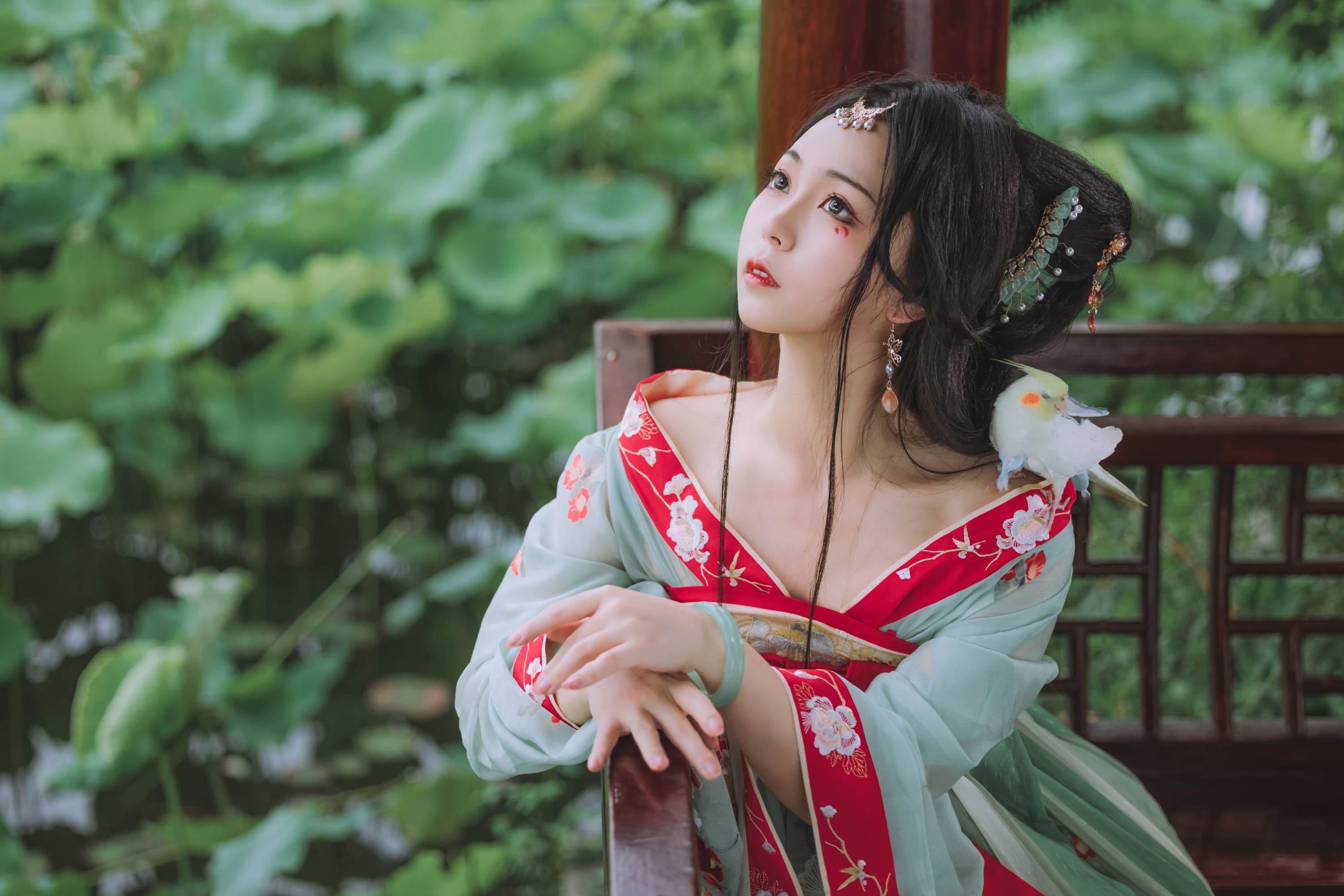 阡墨红尘 – 《风荷举》[22P]
